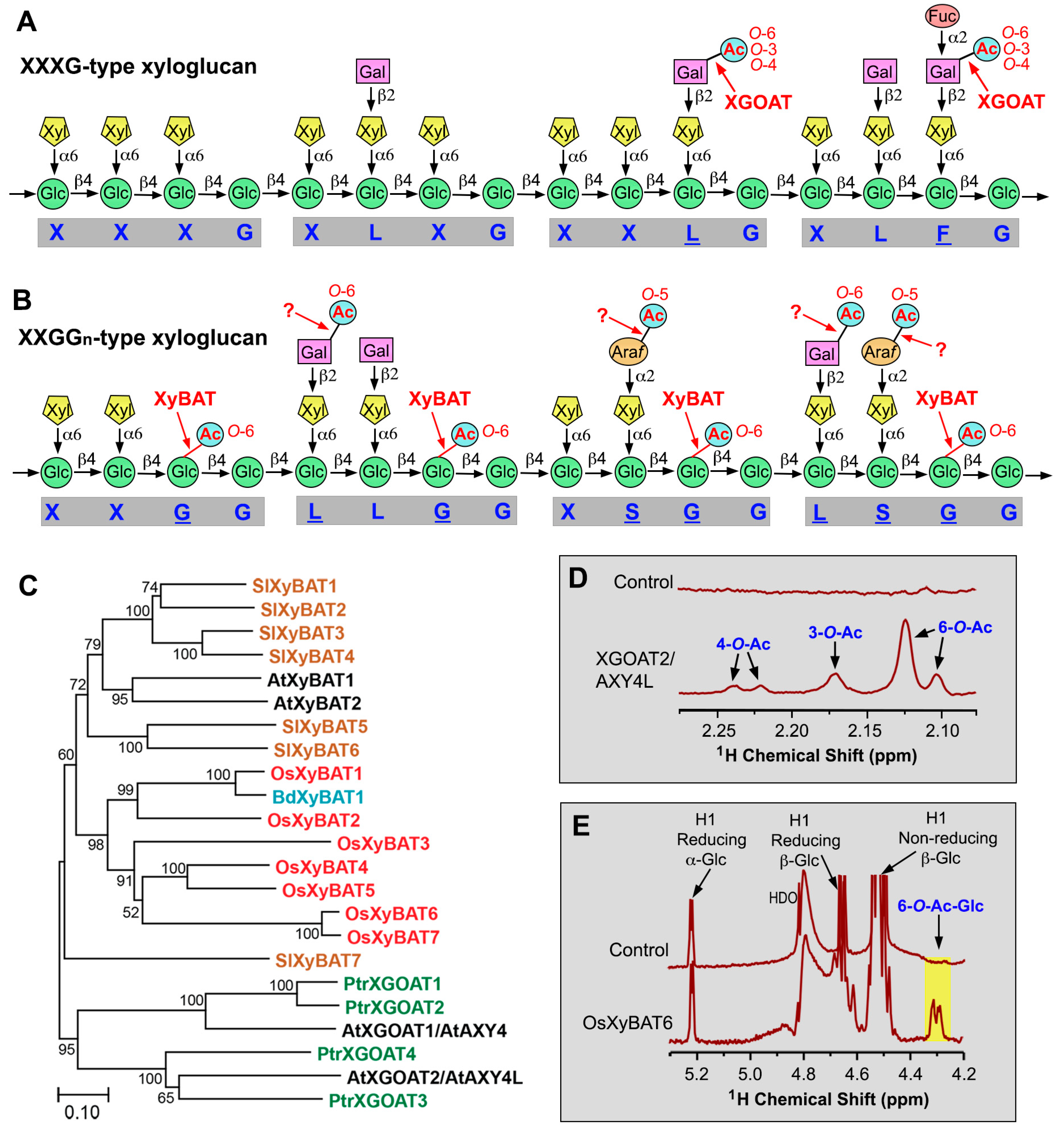 Plants 13 02304 g002 Plants 13 02304 g002