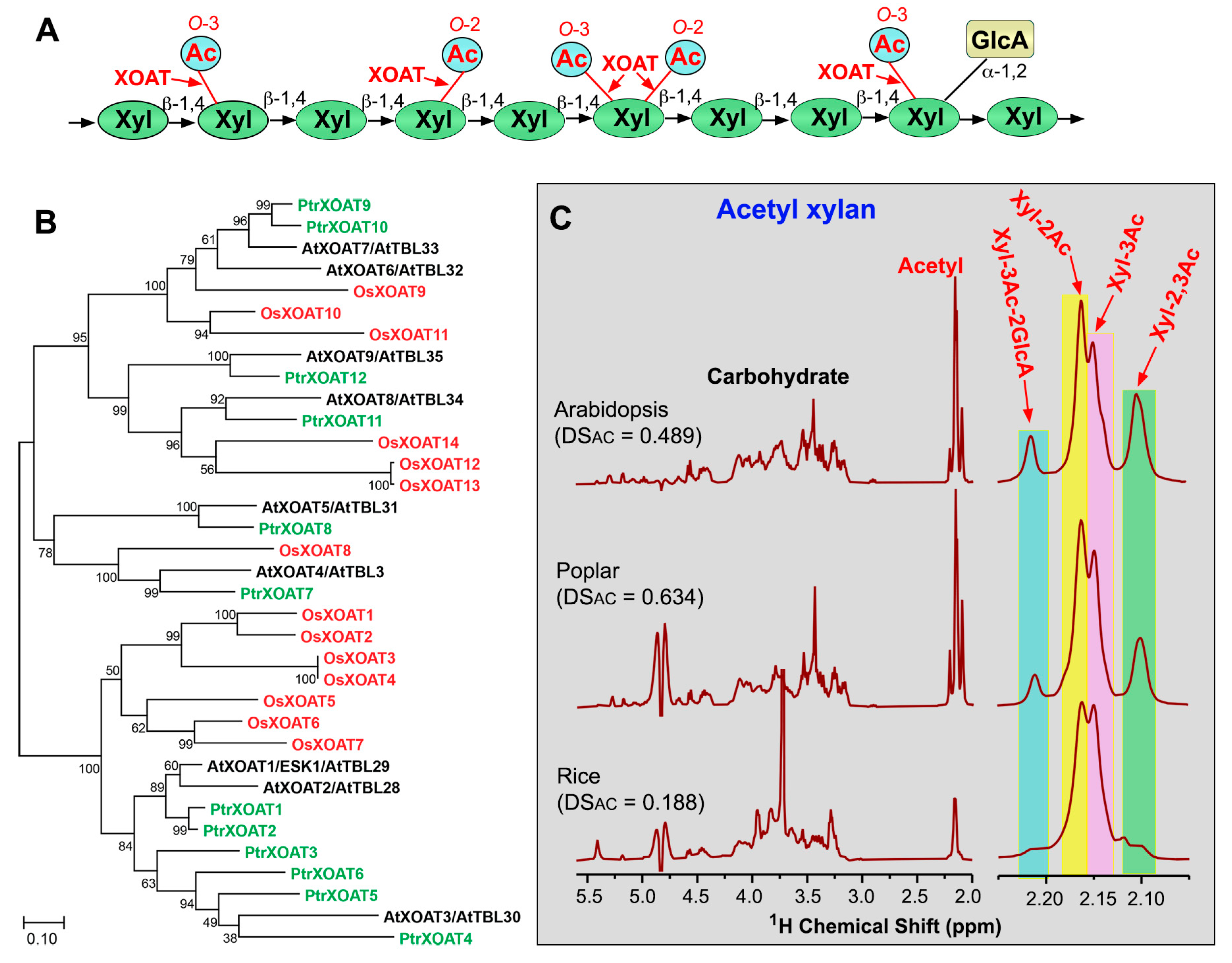 Plants 13 02304 g003 Plants 13 02304 g003