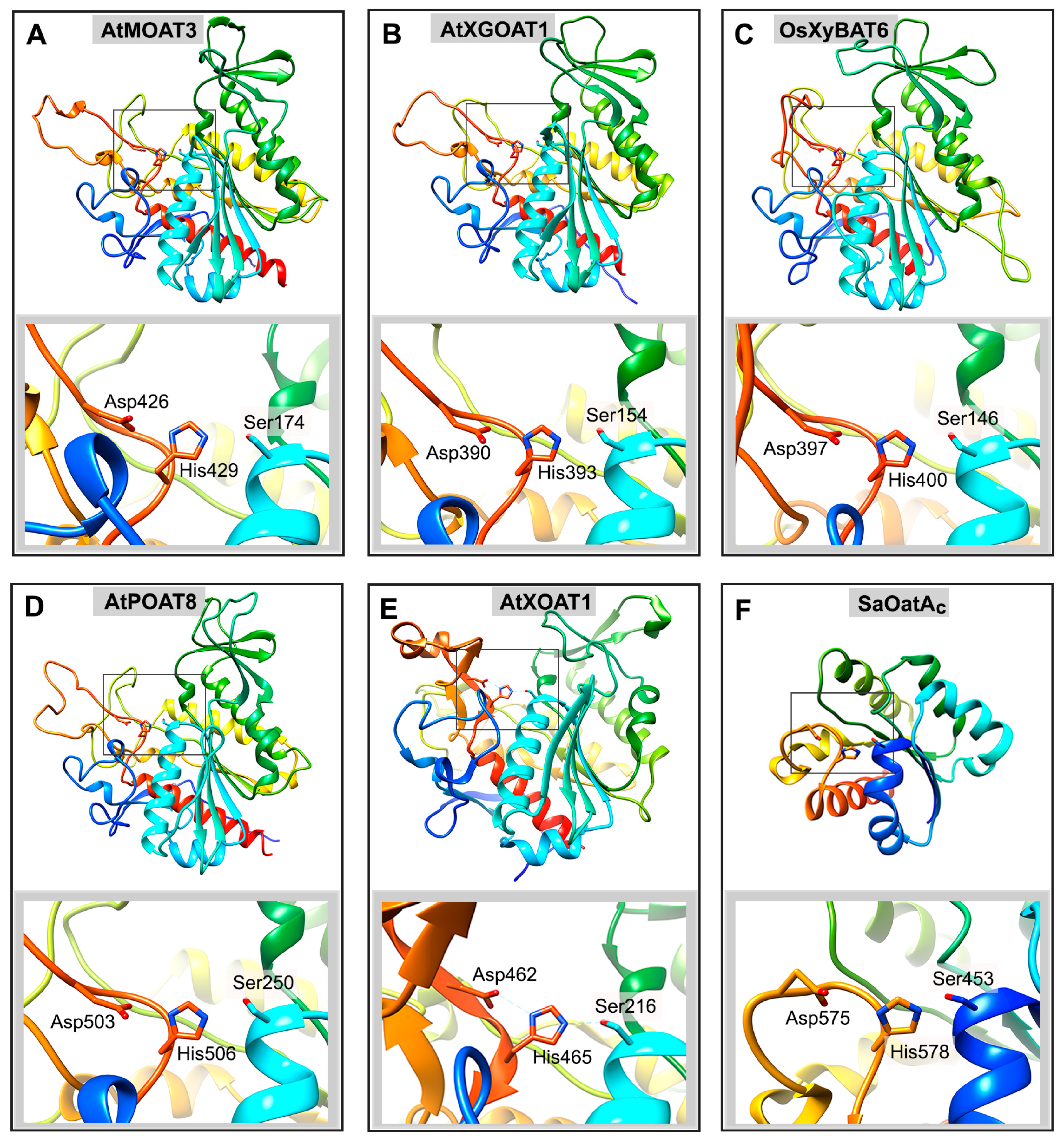 Plants 13 02304 g006 Plants 13 02304 g006