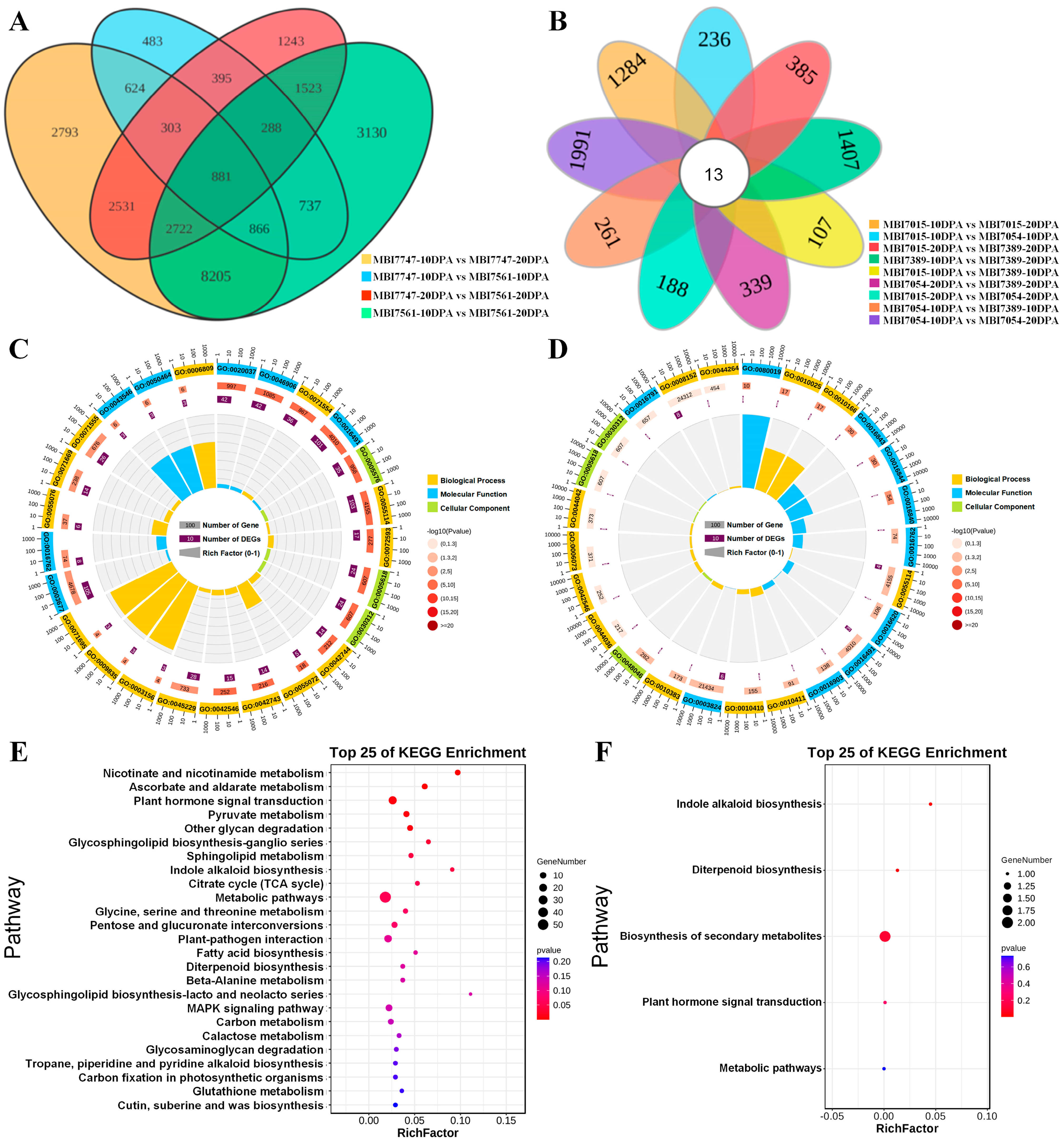 Plants 13 02308 g007