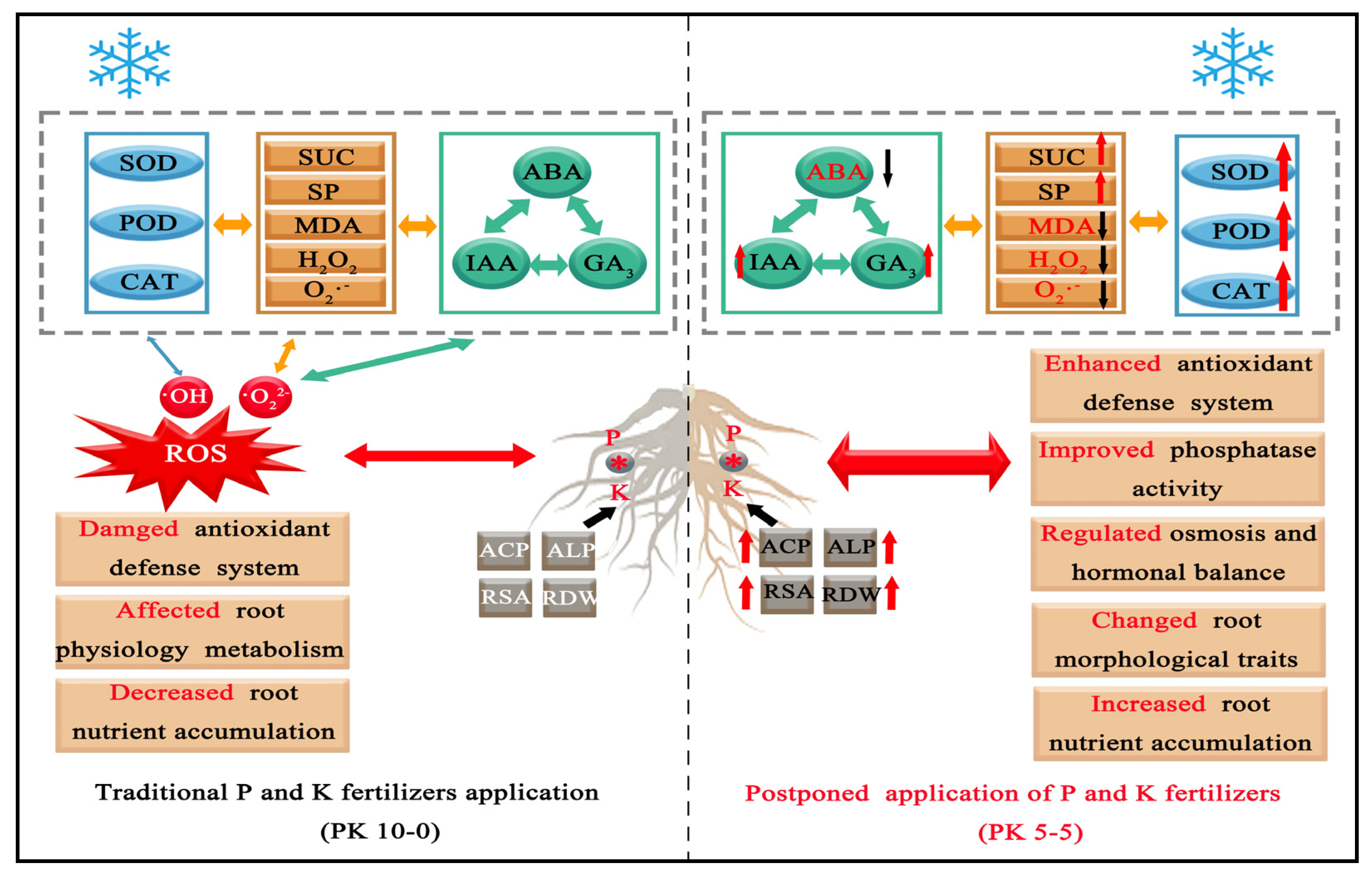Plants 13 02311 g011