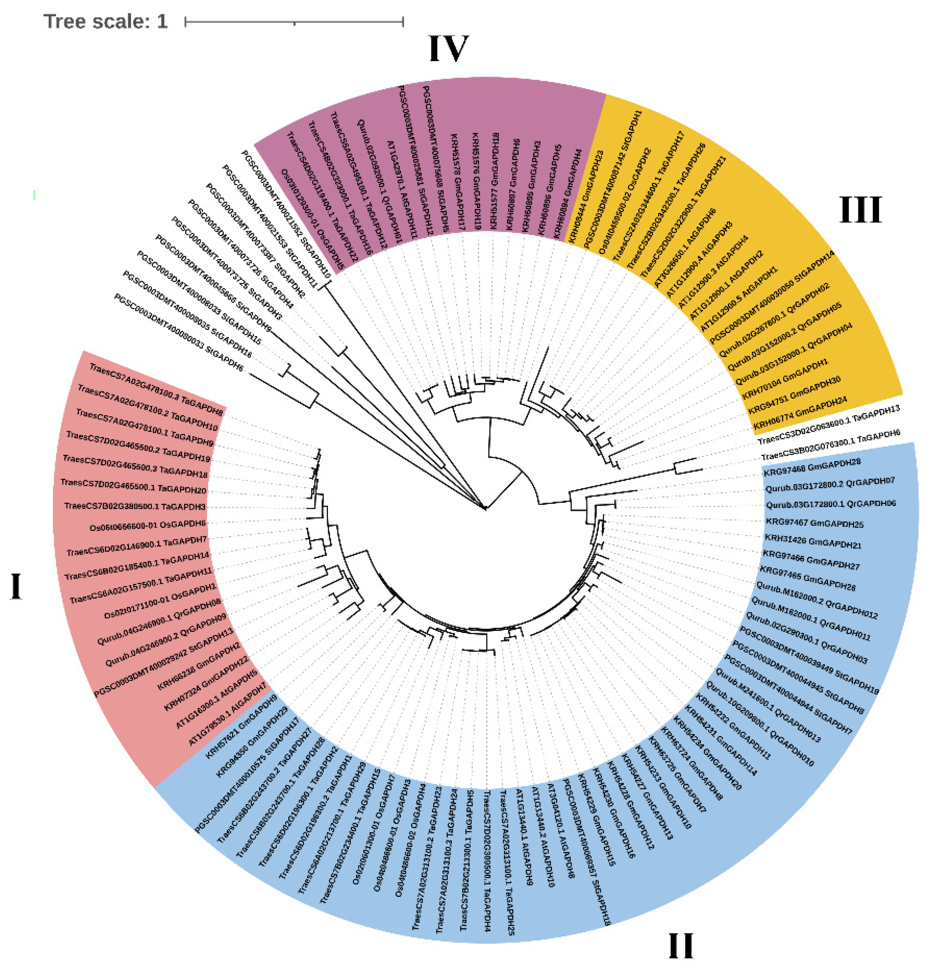 Plants 13 02312 g001