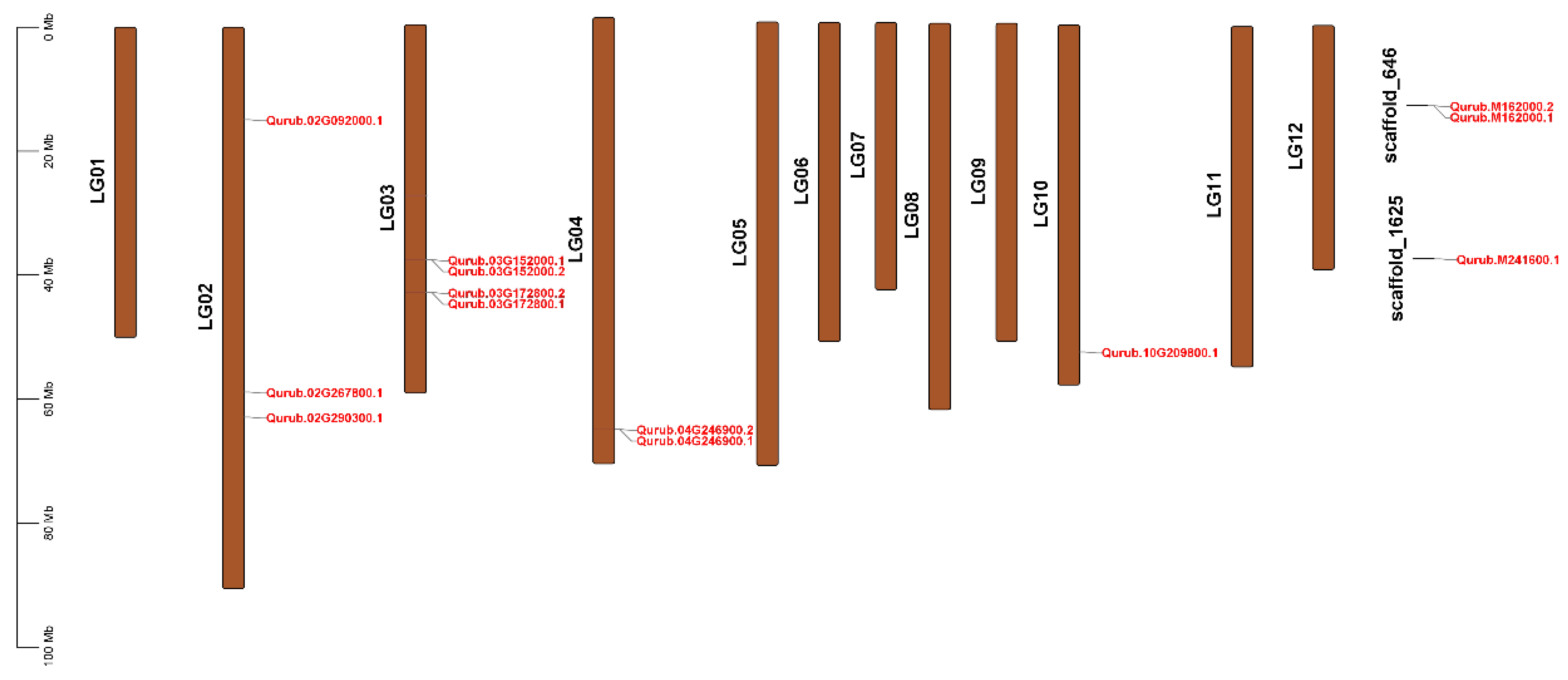 Plants 13 02312 g003