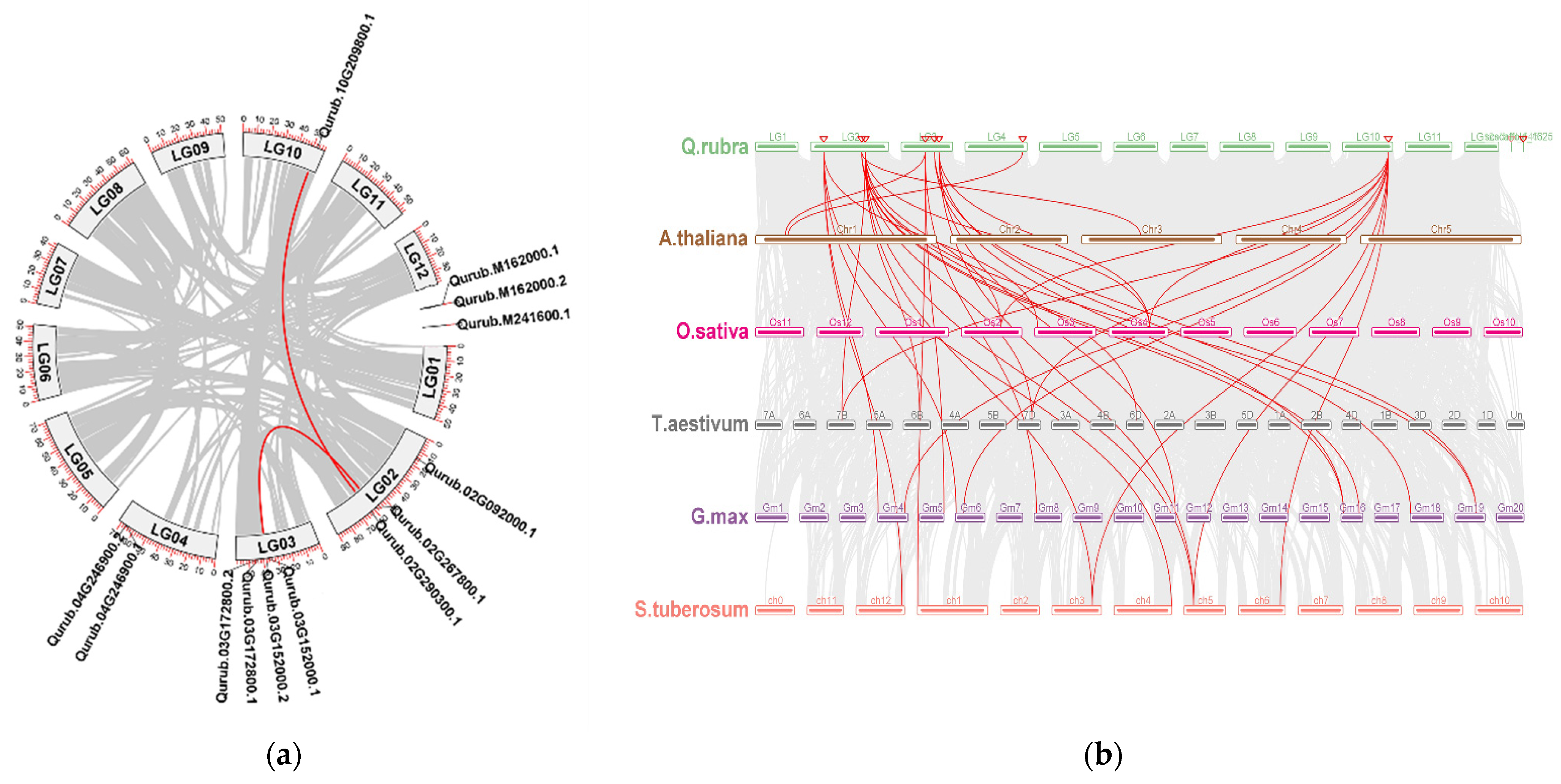 Plants 13 02312 g004