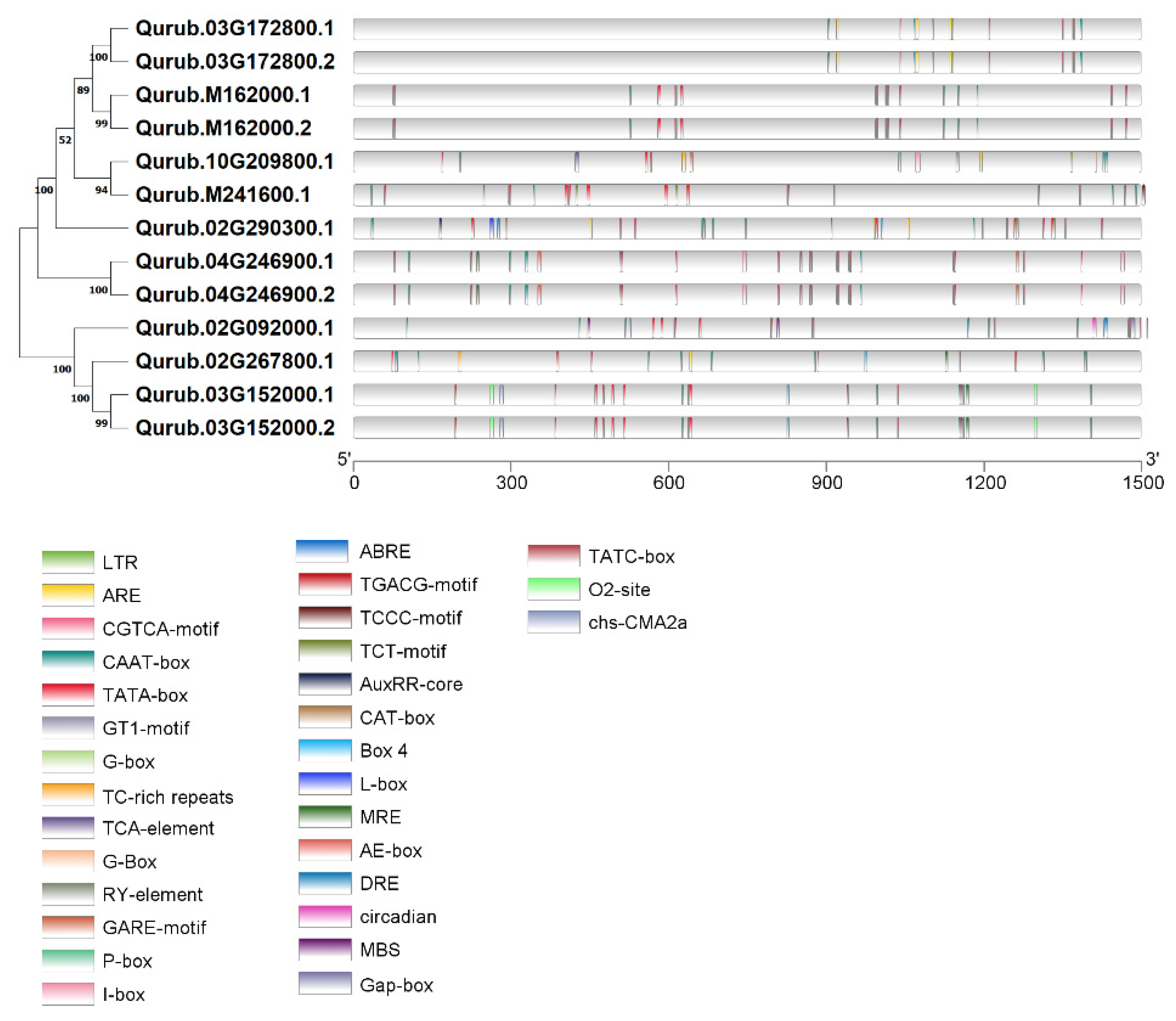 Plants 13 02312 g006