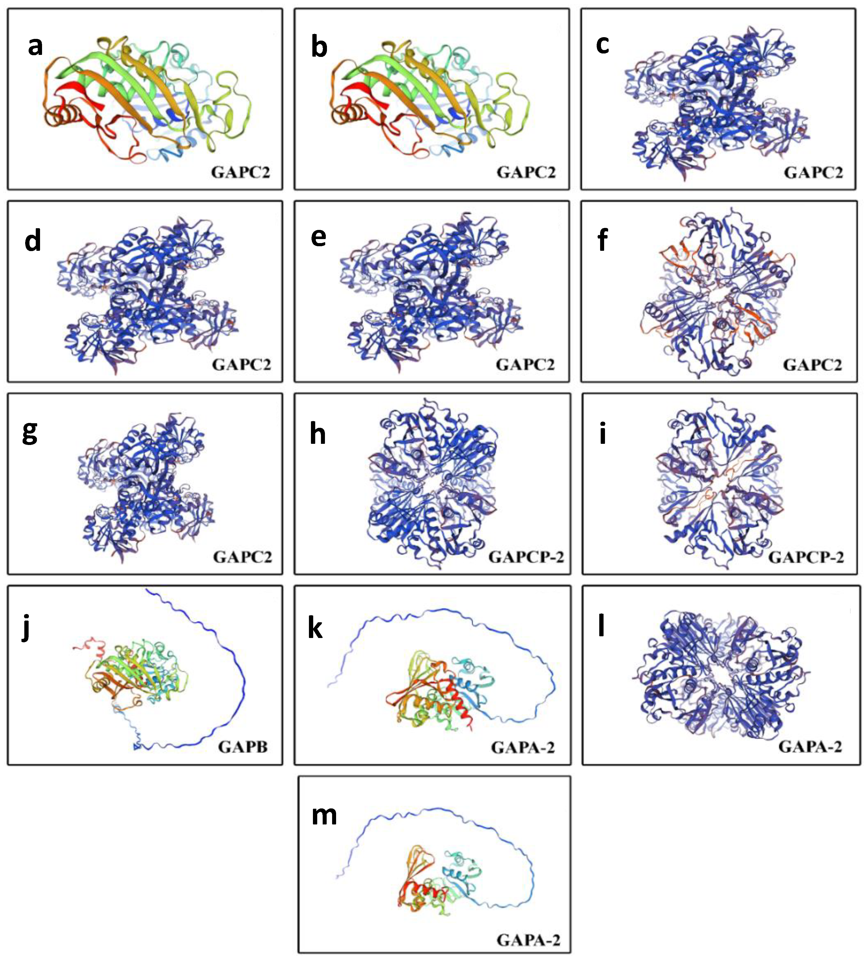 Plants 13 02312 g007