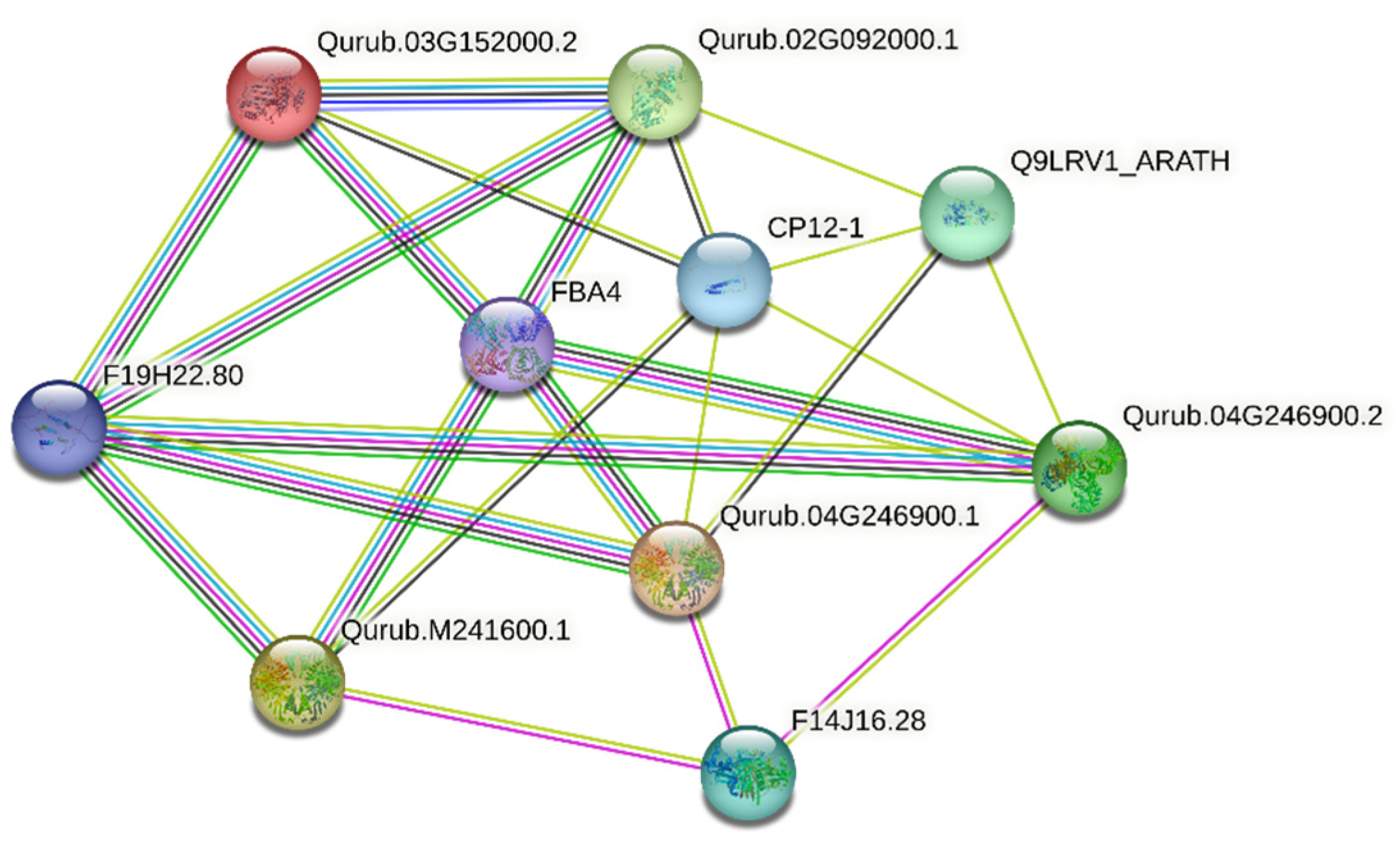 Plants 13 02312 g008