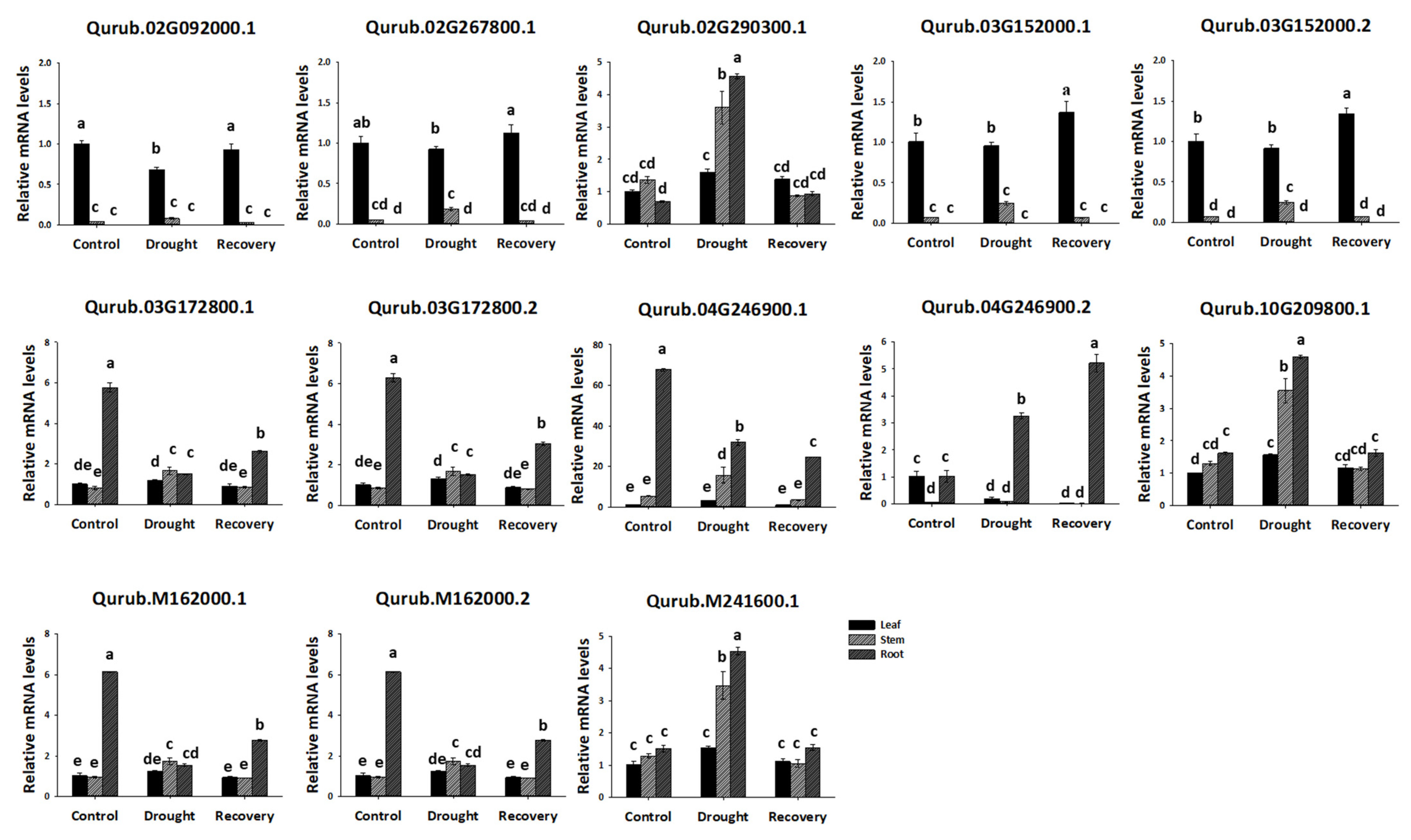 Plants 13 02312 g010