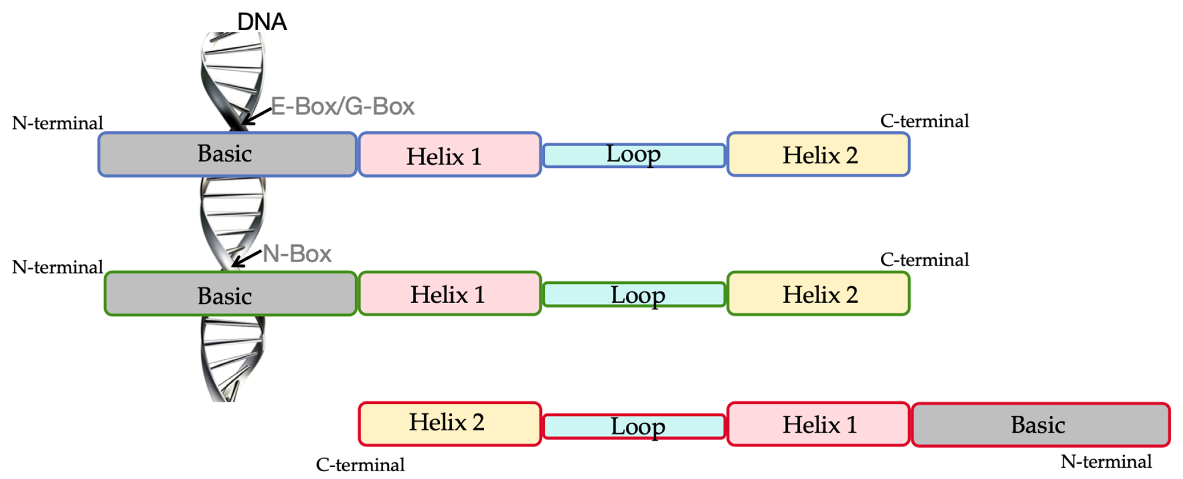 Plants 13 02315 g001 Plants 13 02315 g001