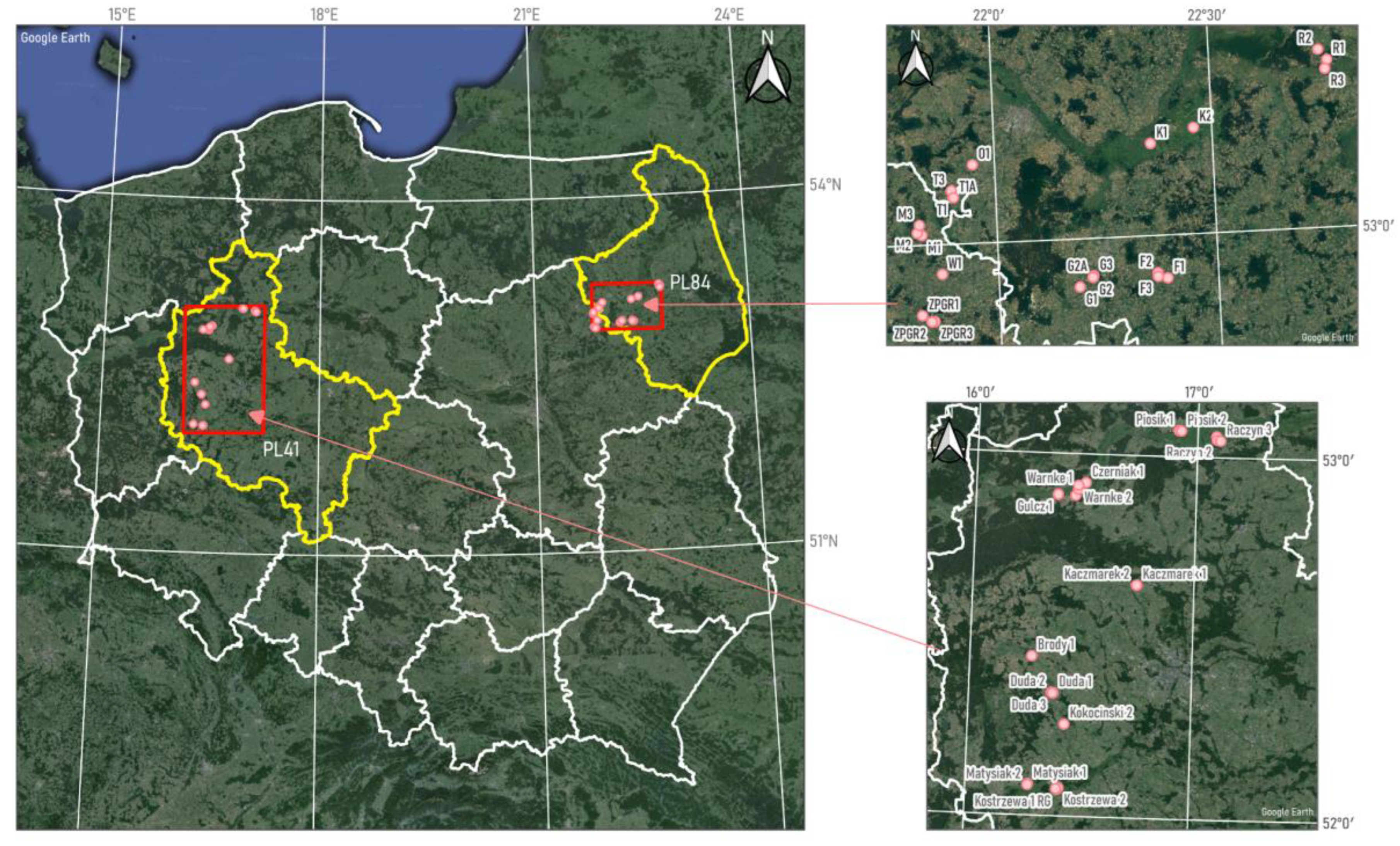 Plants 13 02319 g002