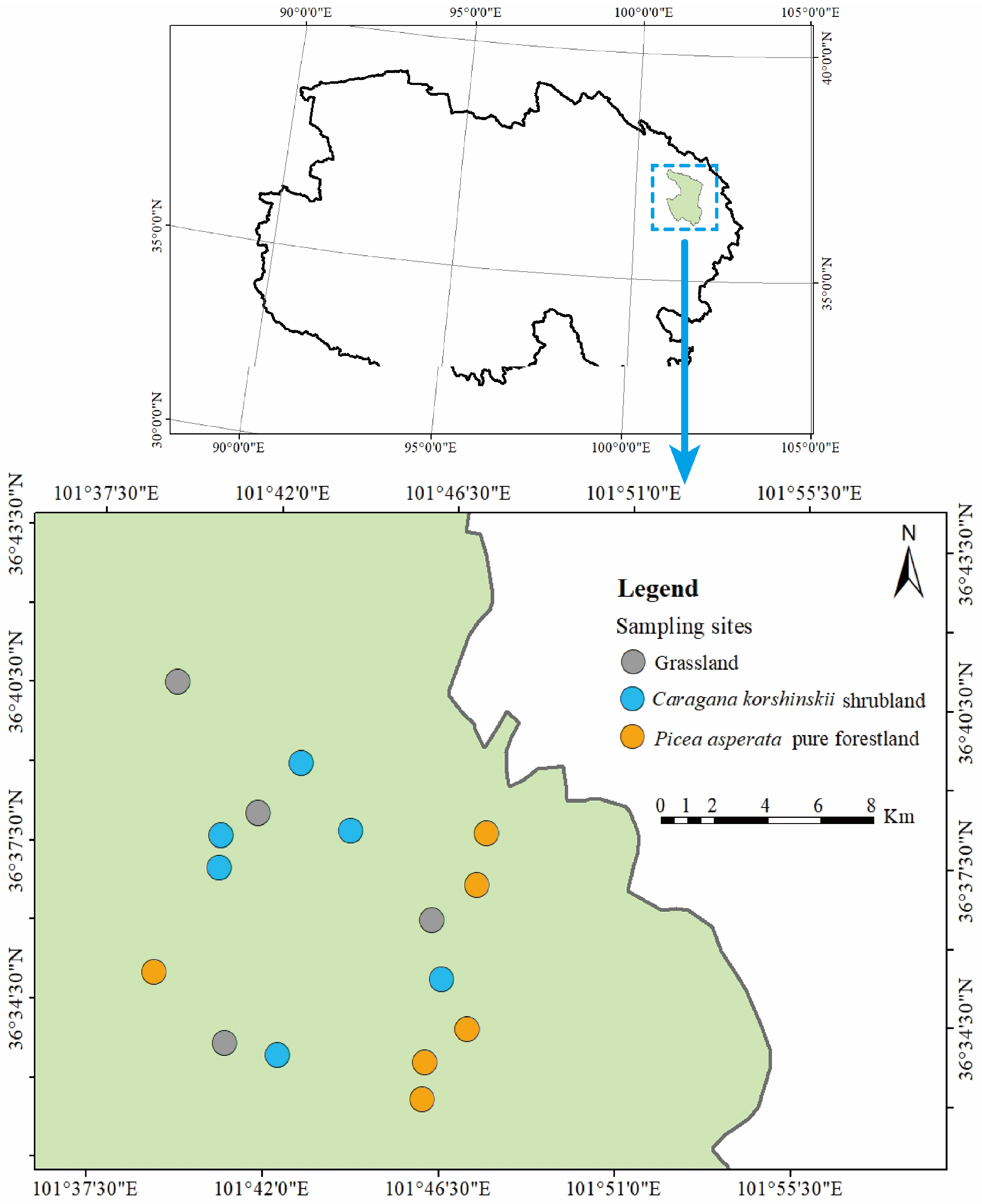 Plants 13 02320 g007