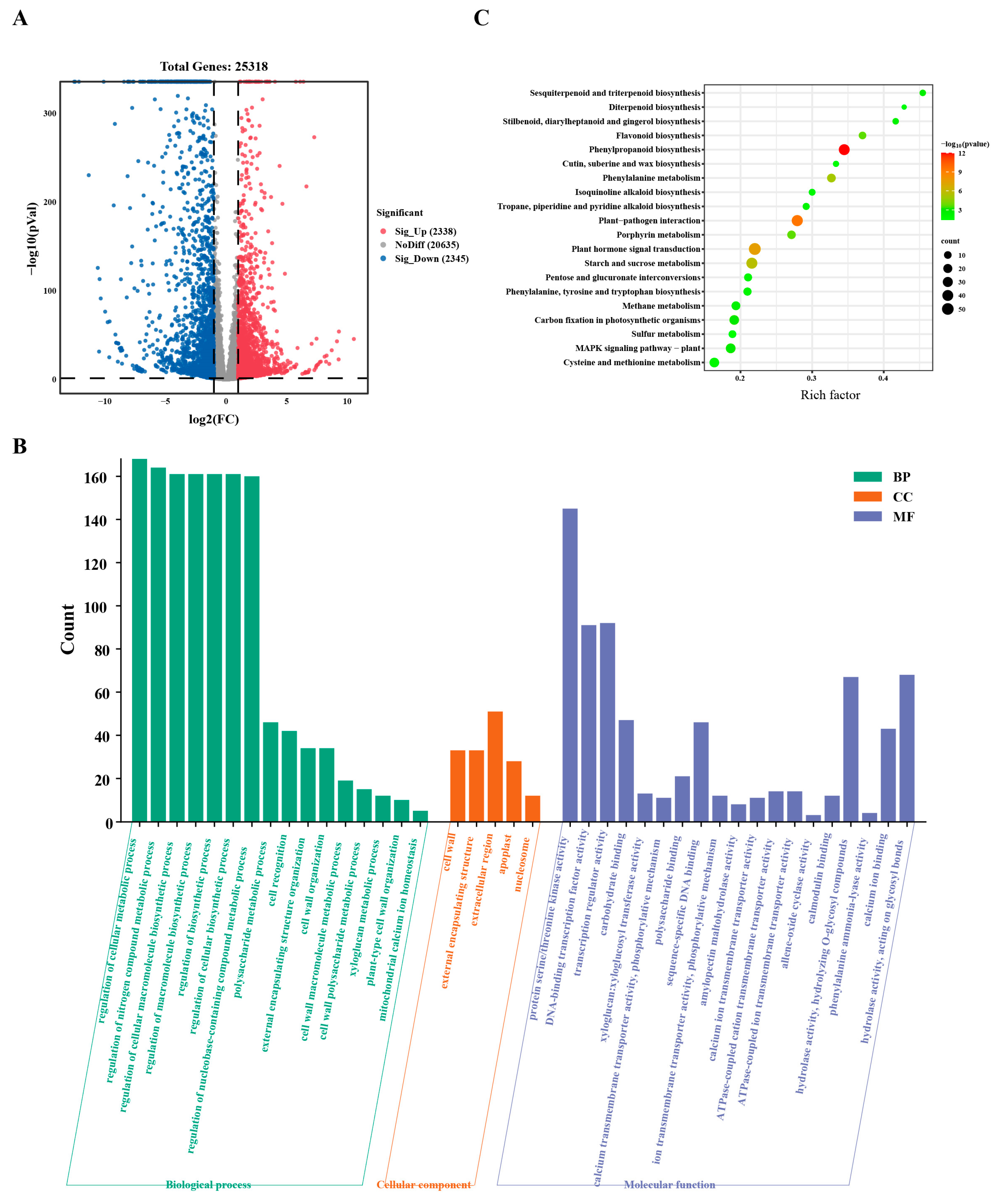 Plants 13 02321 g003
