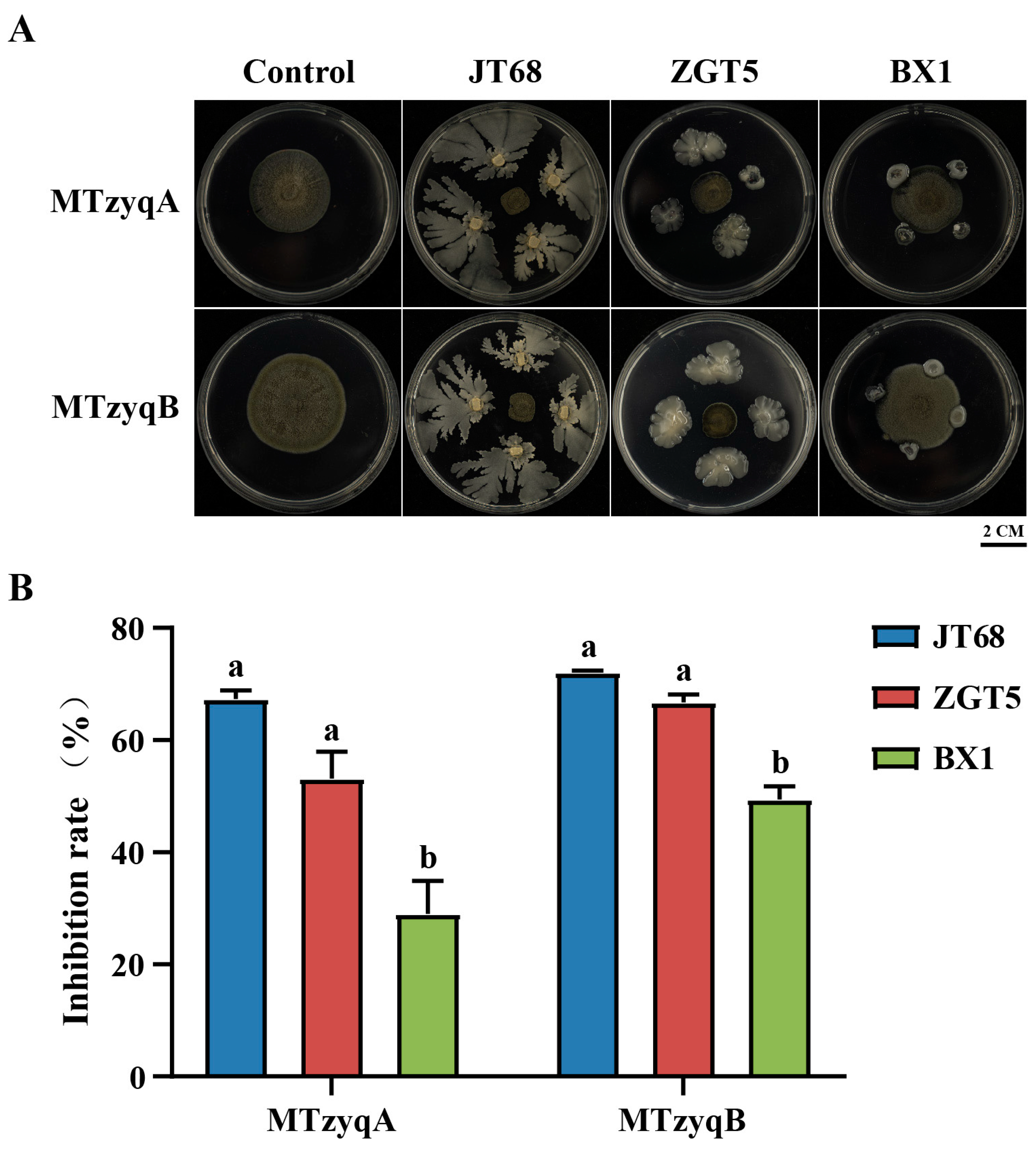 Plants 13 02321 g007