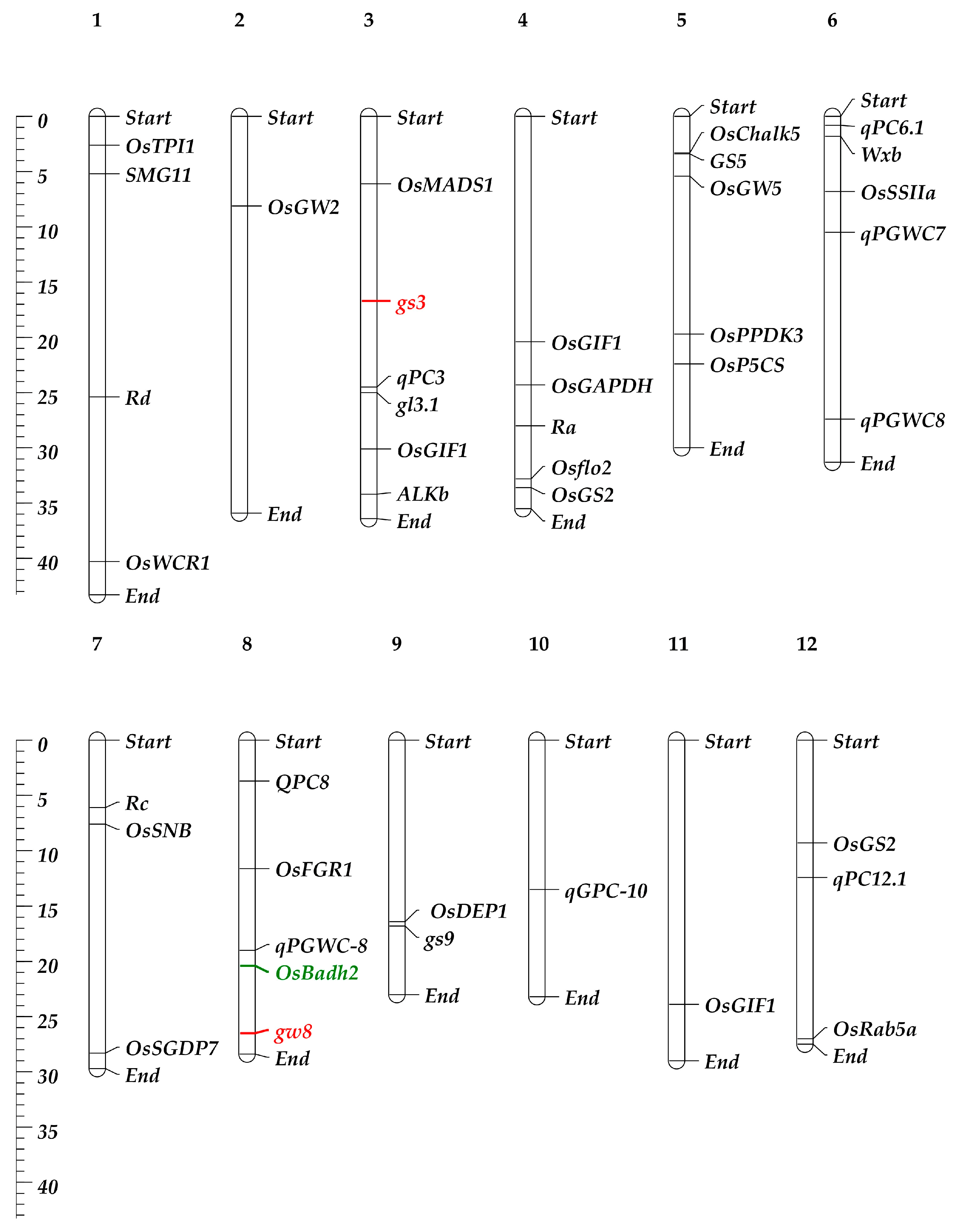 Plants 13 02326 g002