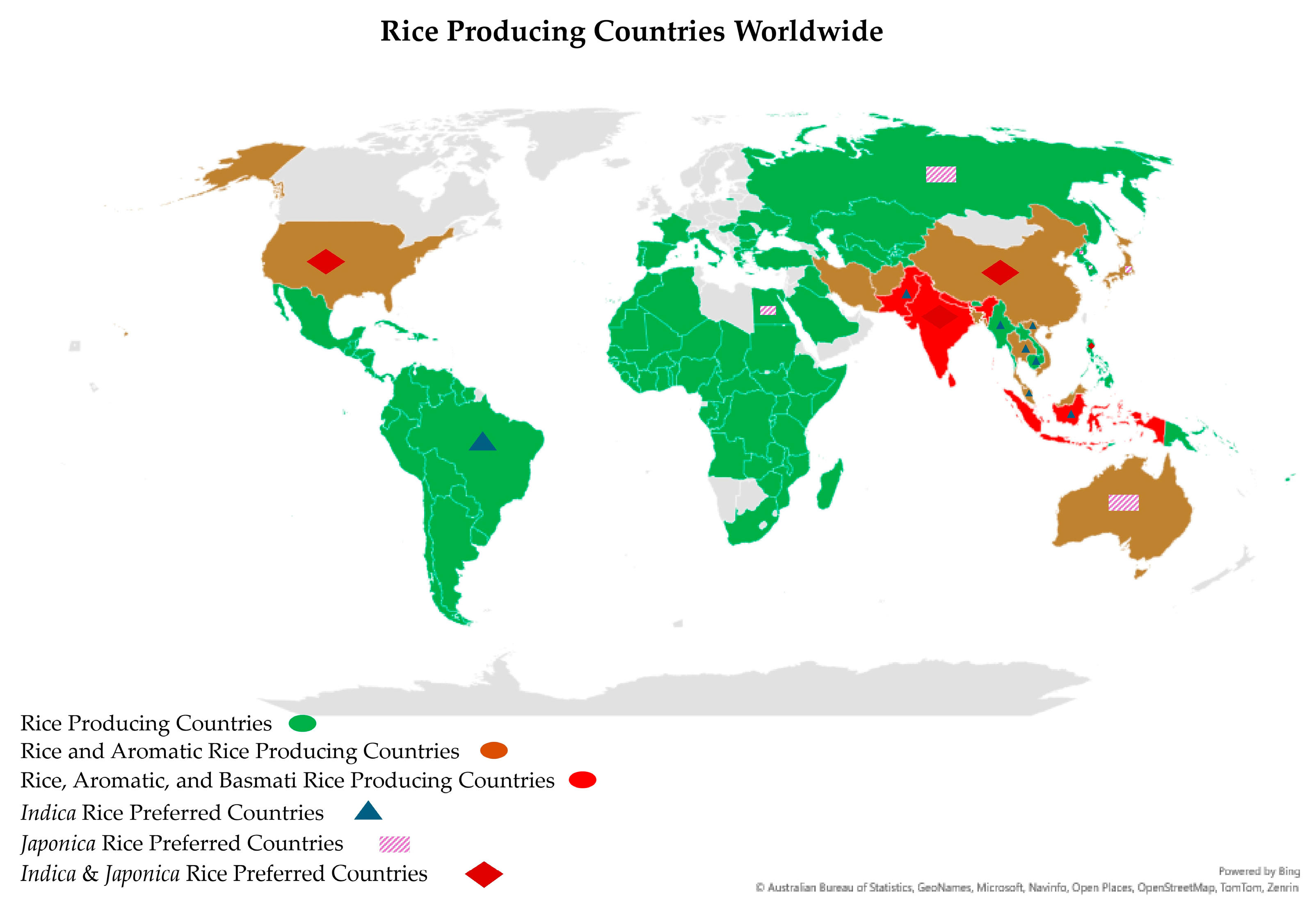 Plants 13 02326 g005