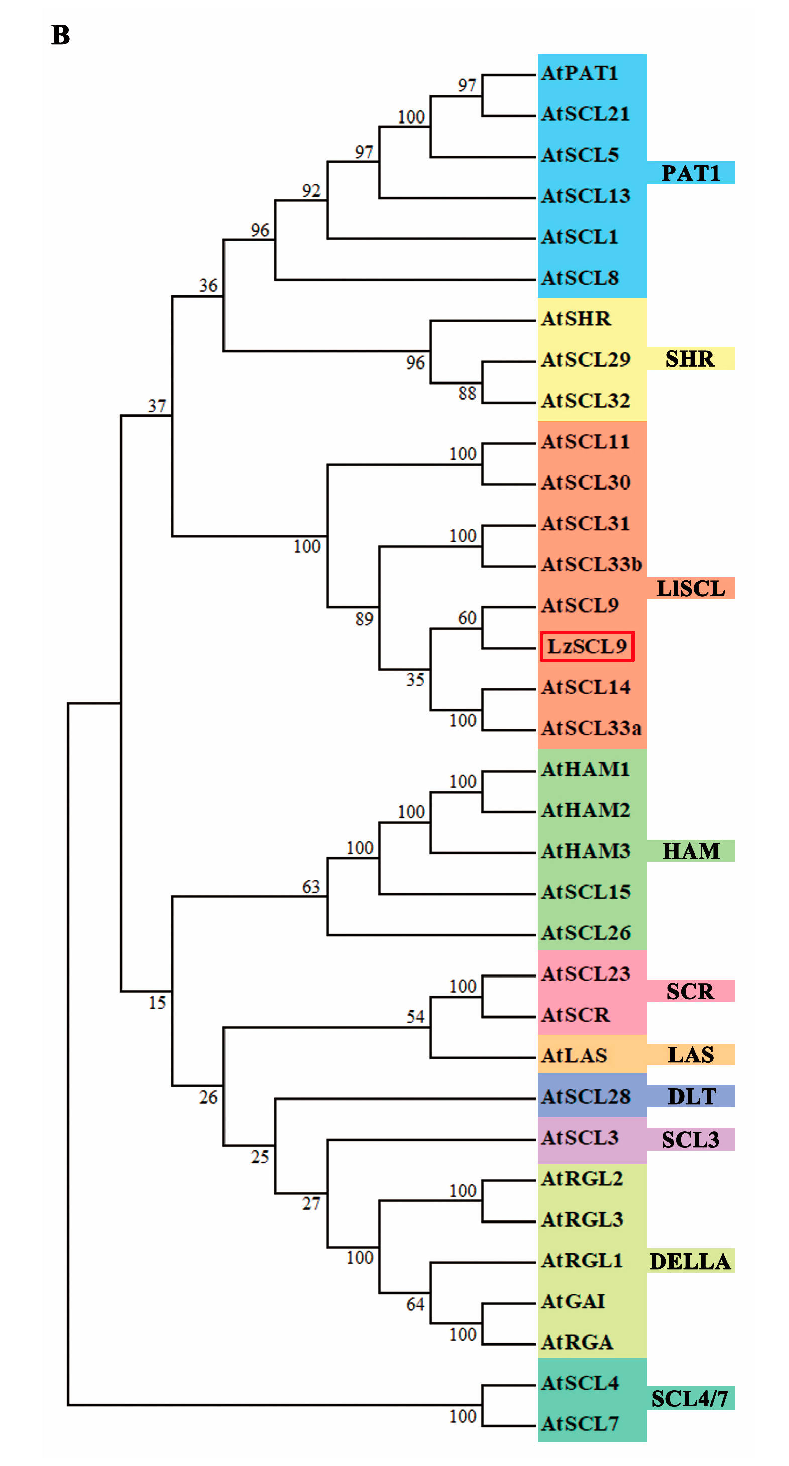 Plants 13 02330 g002b