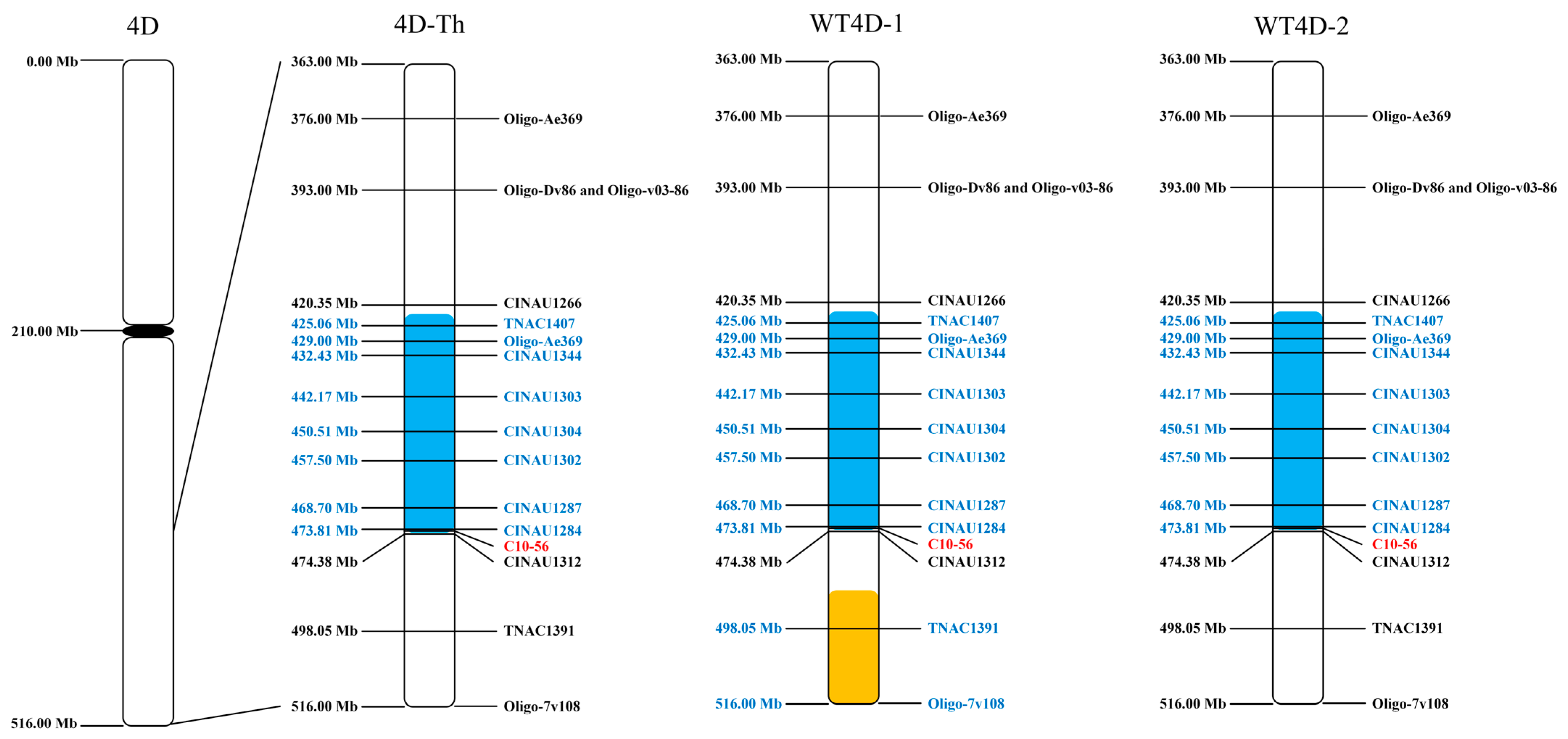 Plants 13 02333 g005