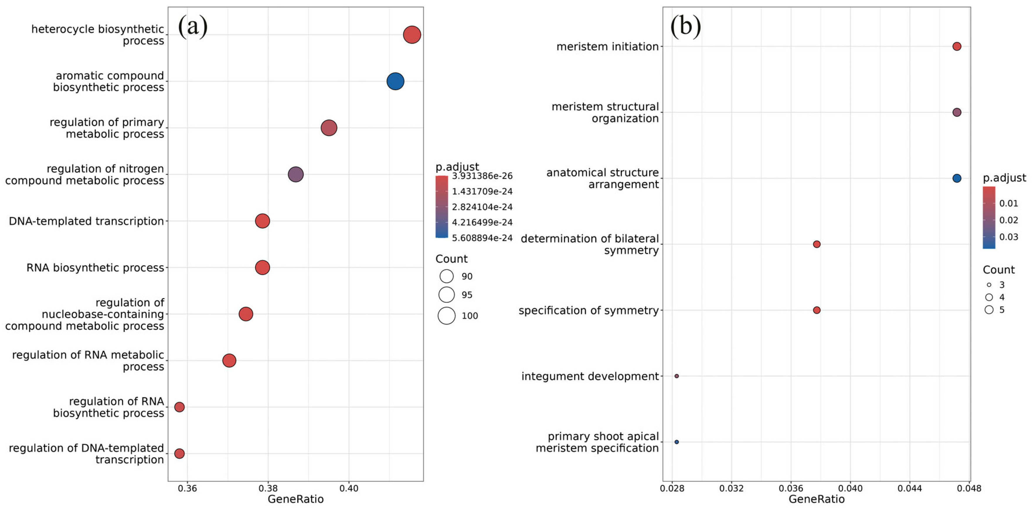 Plants 13 02335 g003