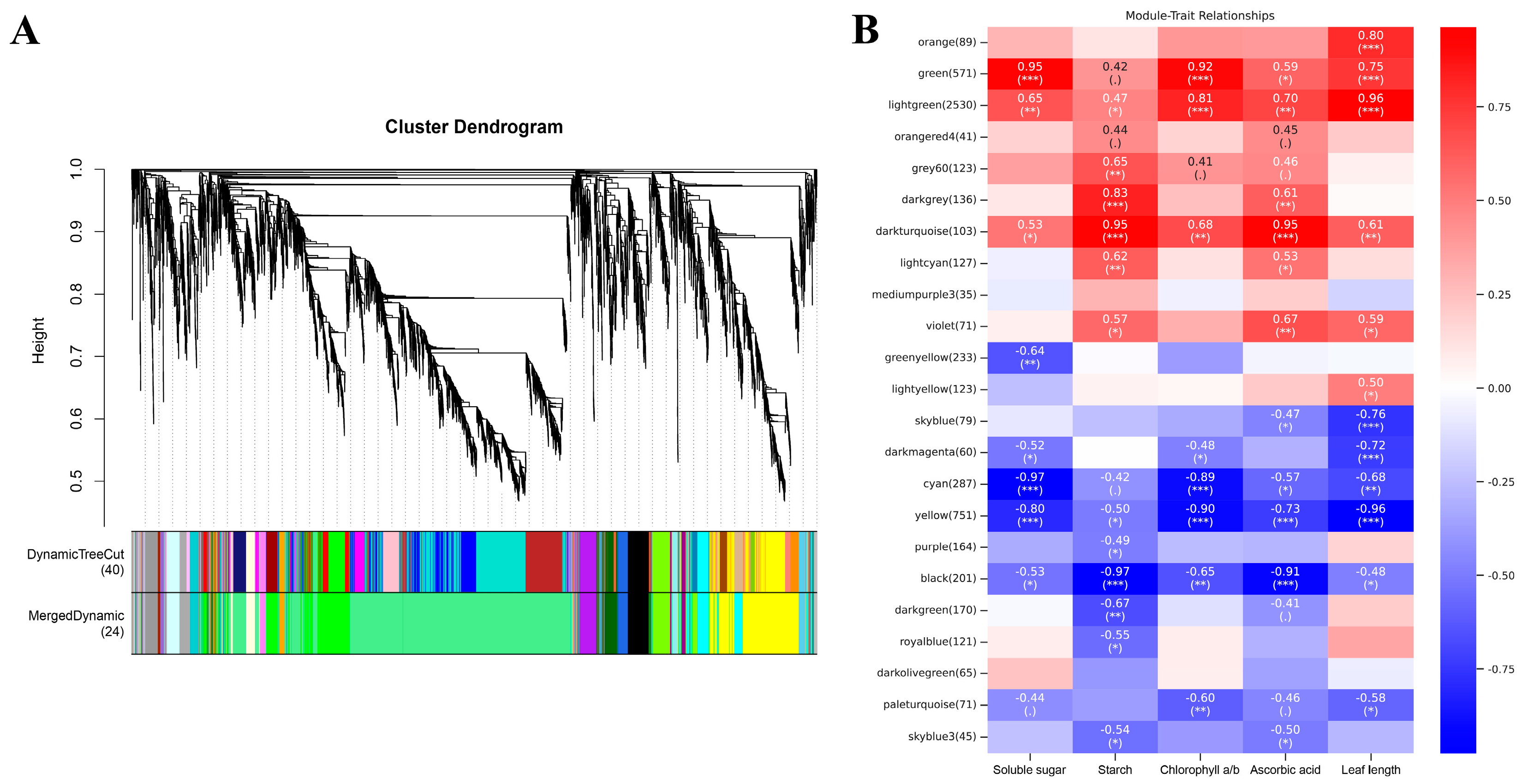Plants 13 02341 g008