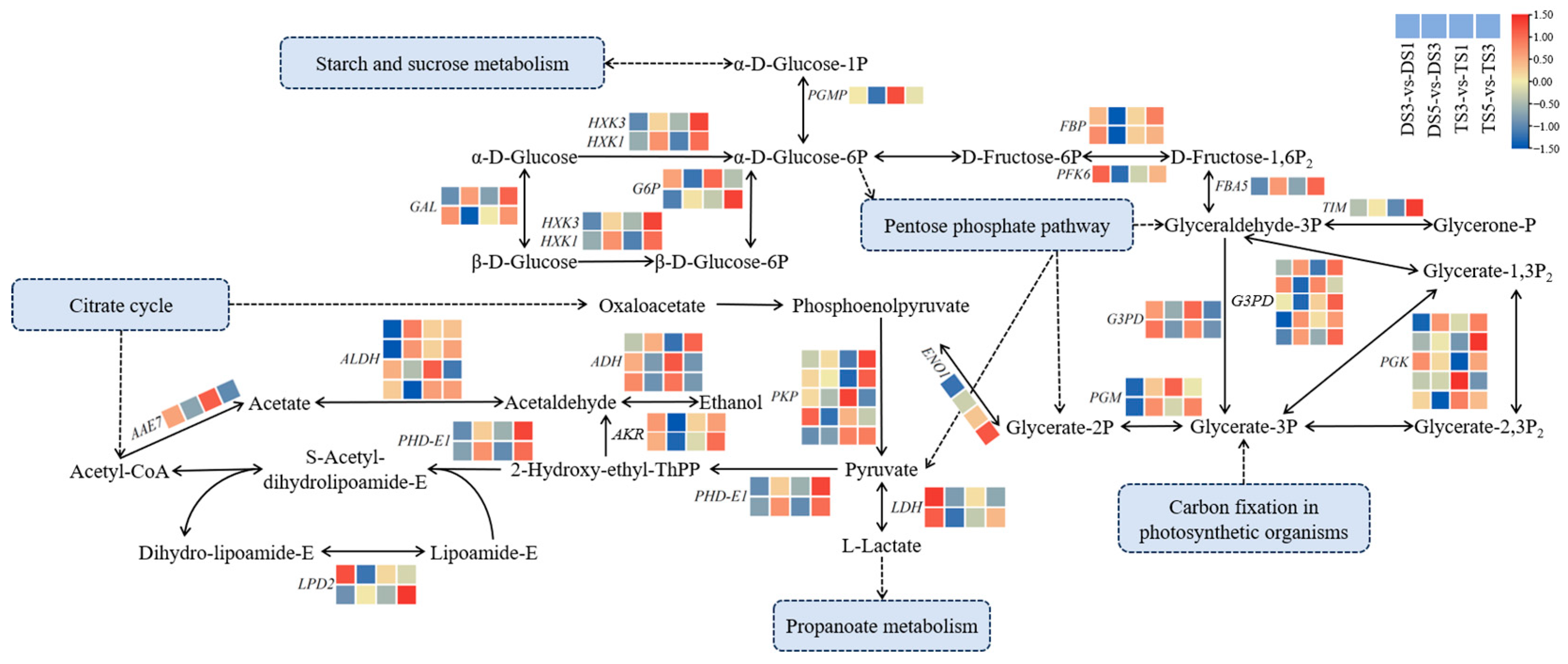 Plants 13 02341 g010