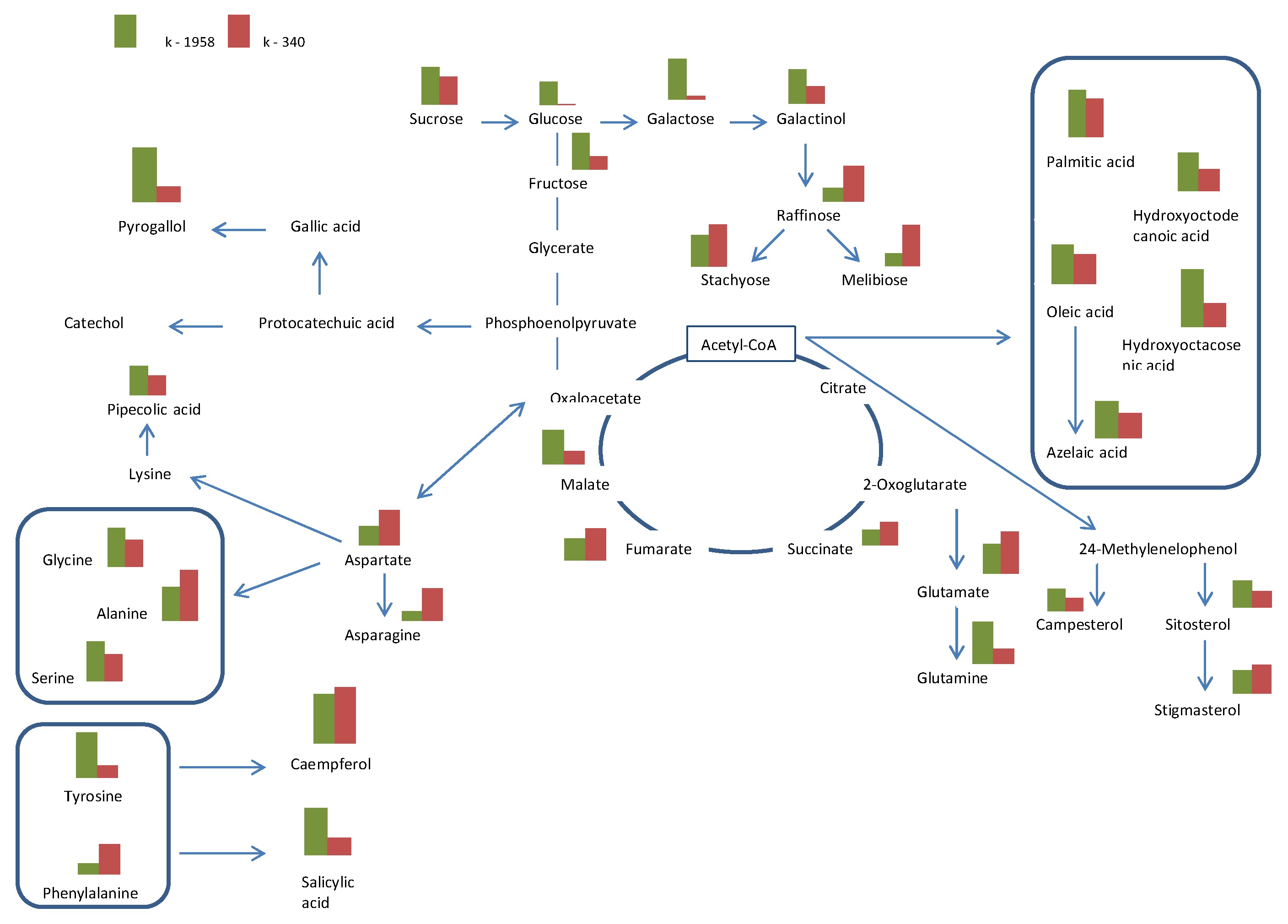 Plants 13 02343 g005