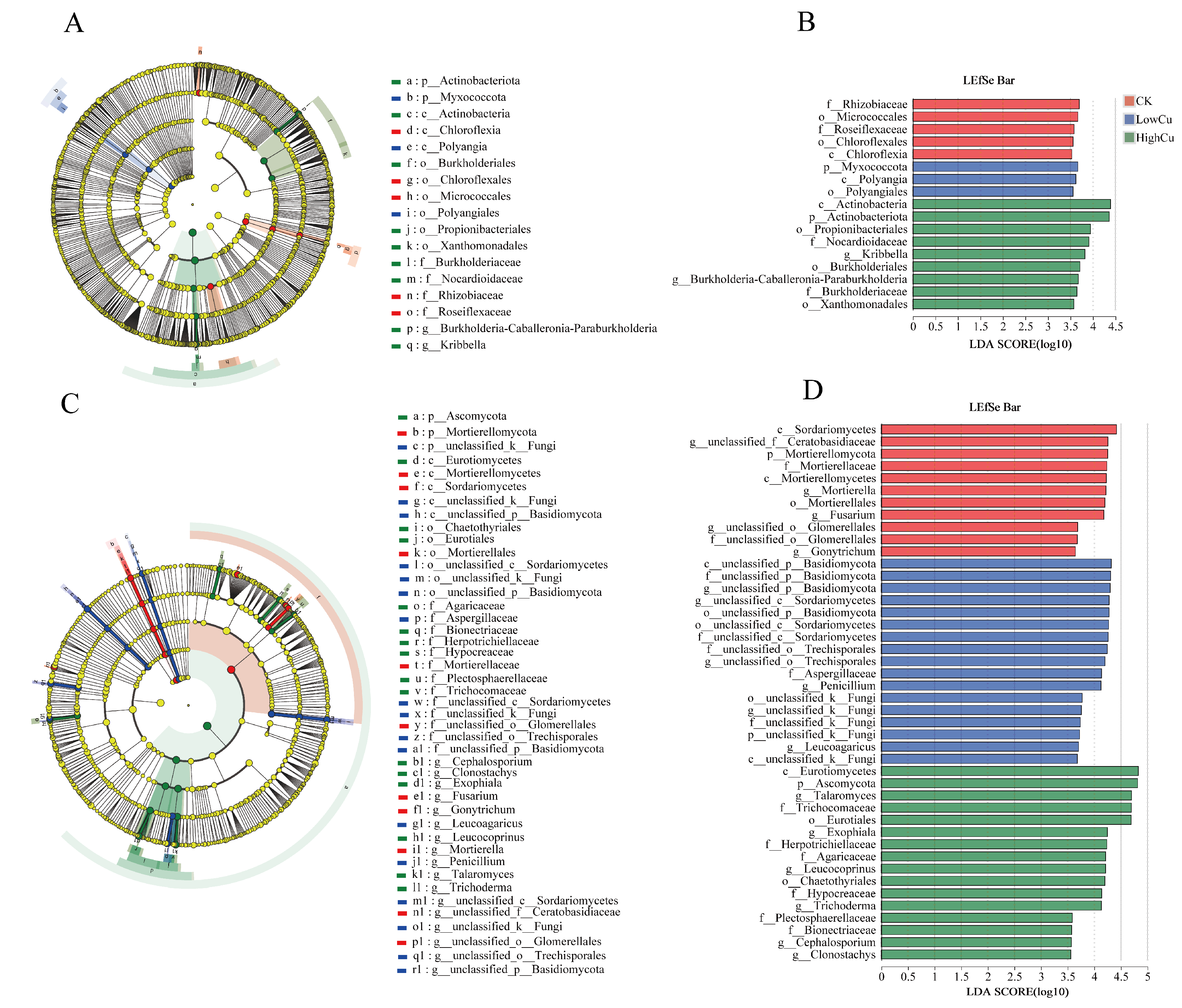Plants 13 02344 g004