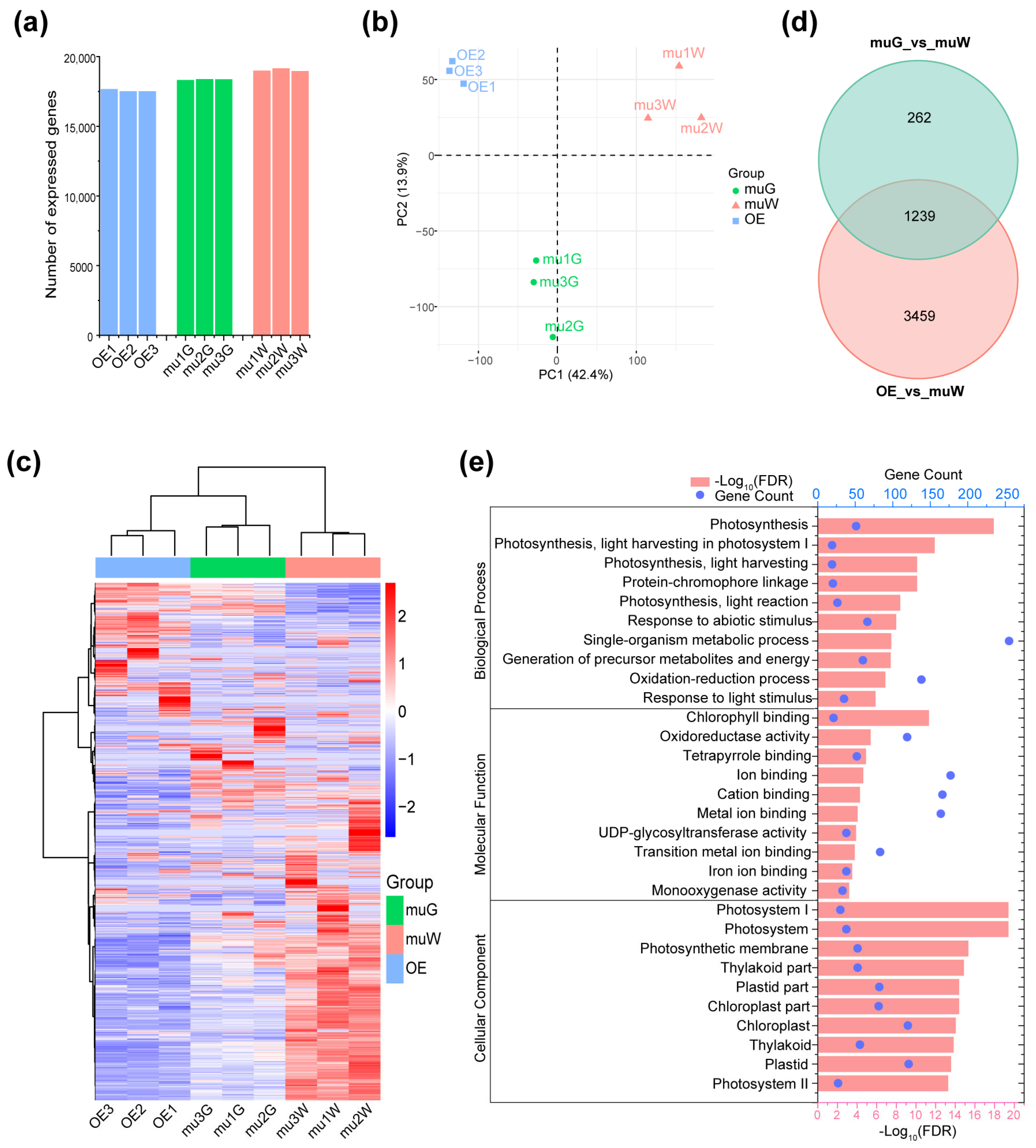 Plants 13 02346 g004 Plants 13 02346 g004