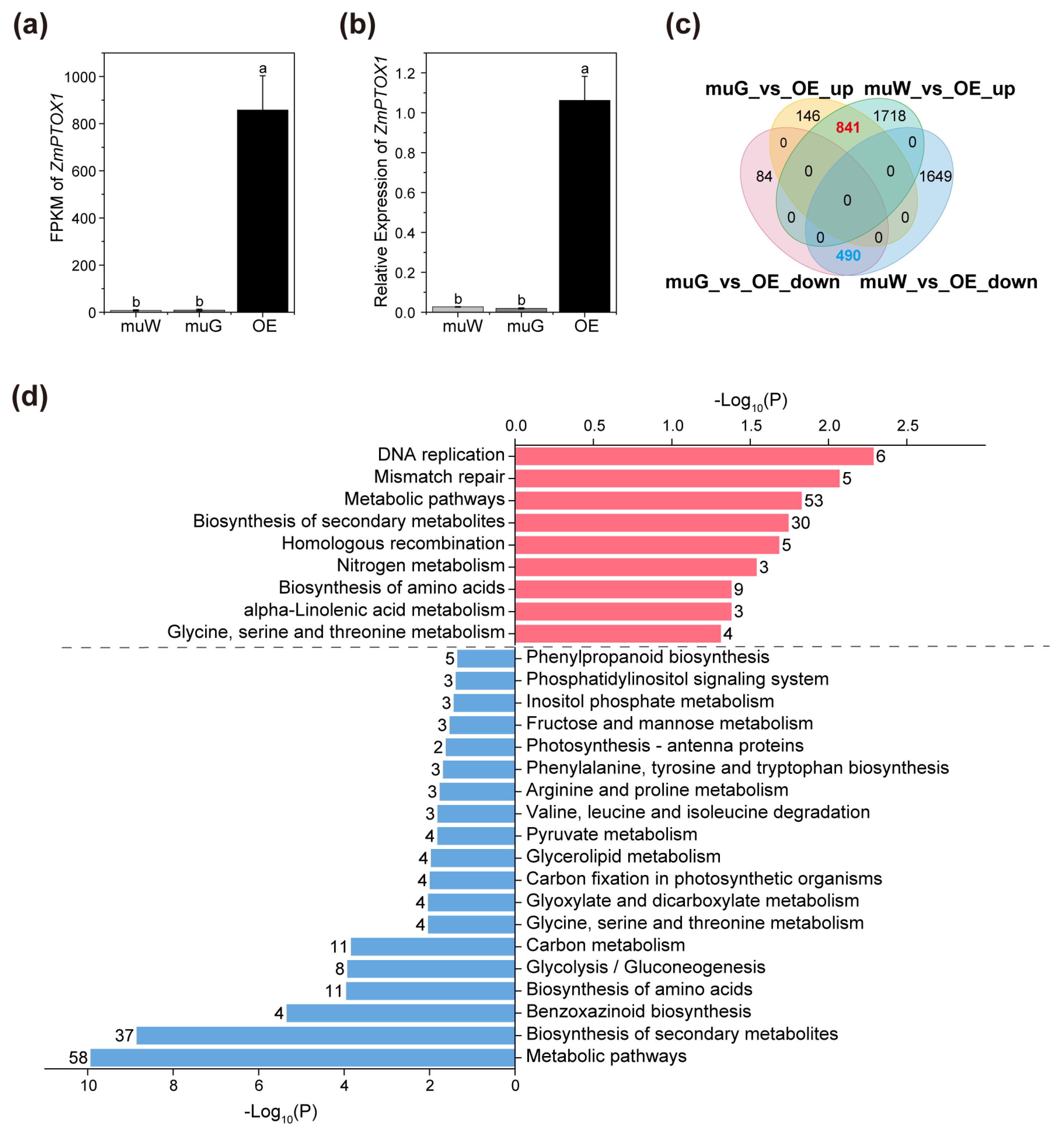 Plants 13 02346 g006 Plants 13 02346 g006