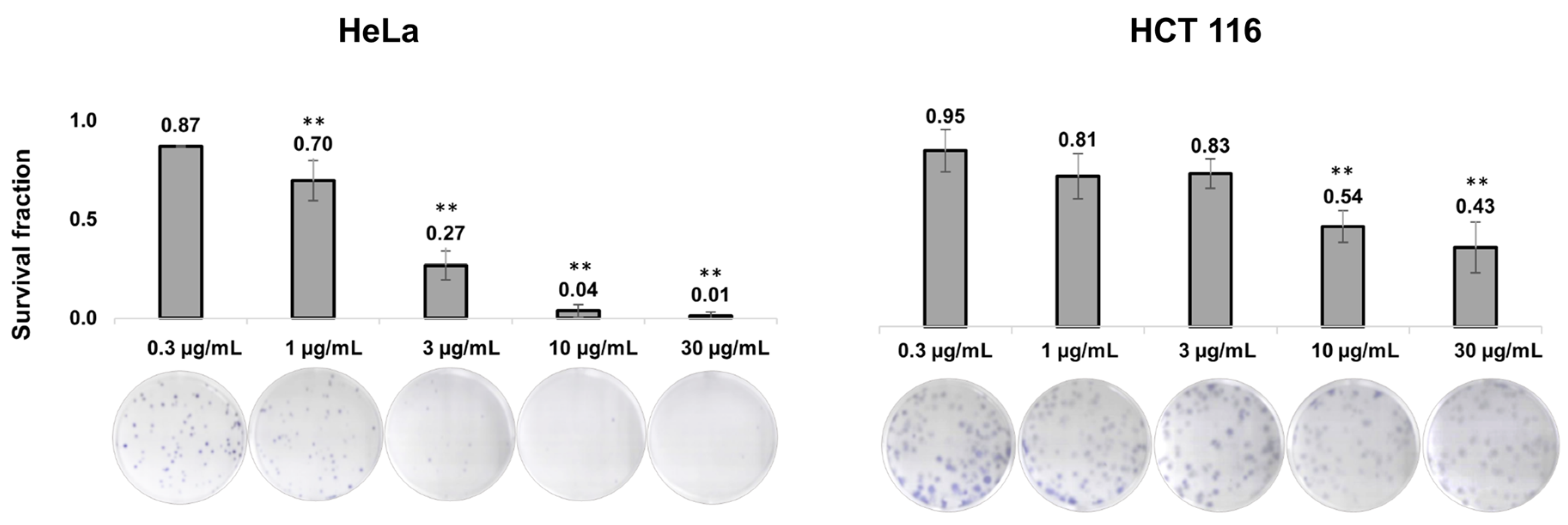 Plants 13 02351 g001