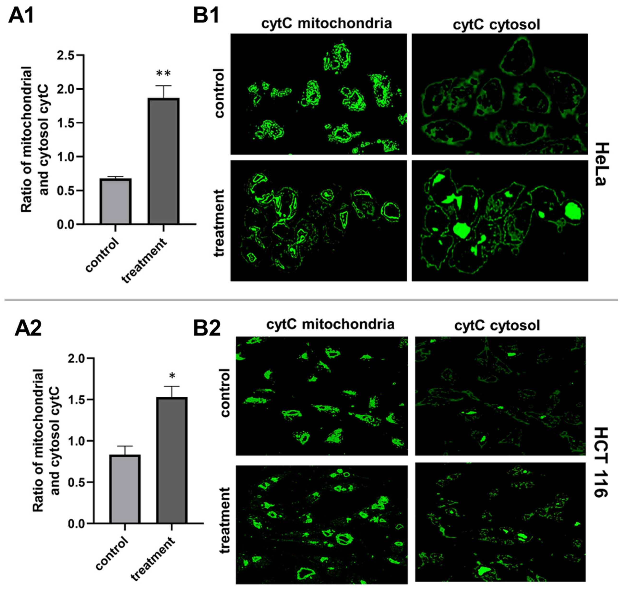 Plants 13 02351 g004