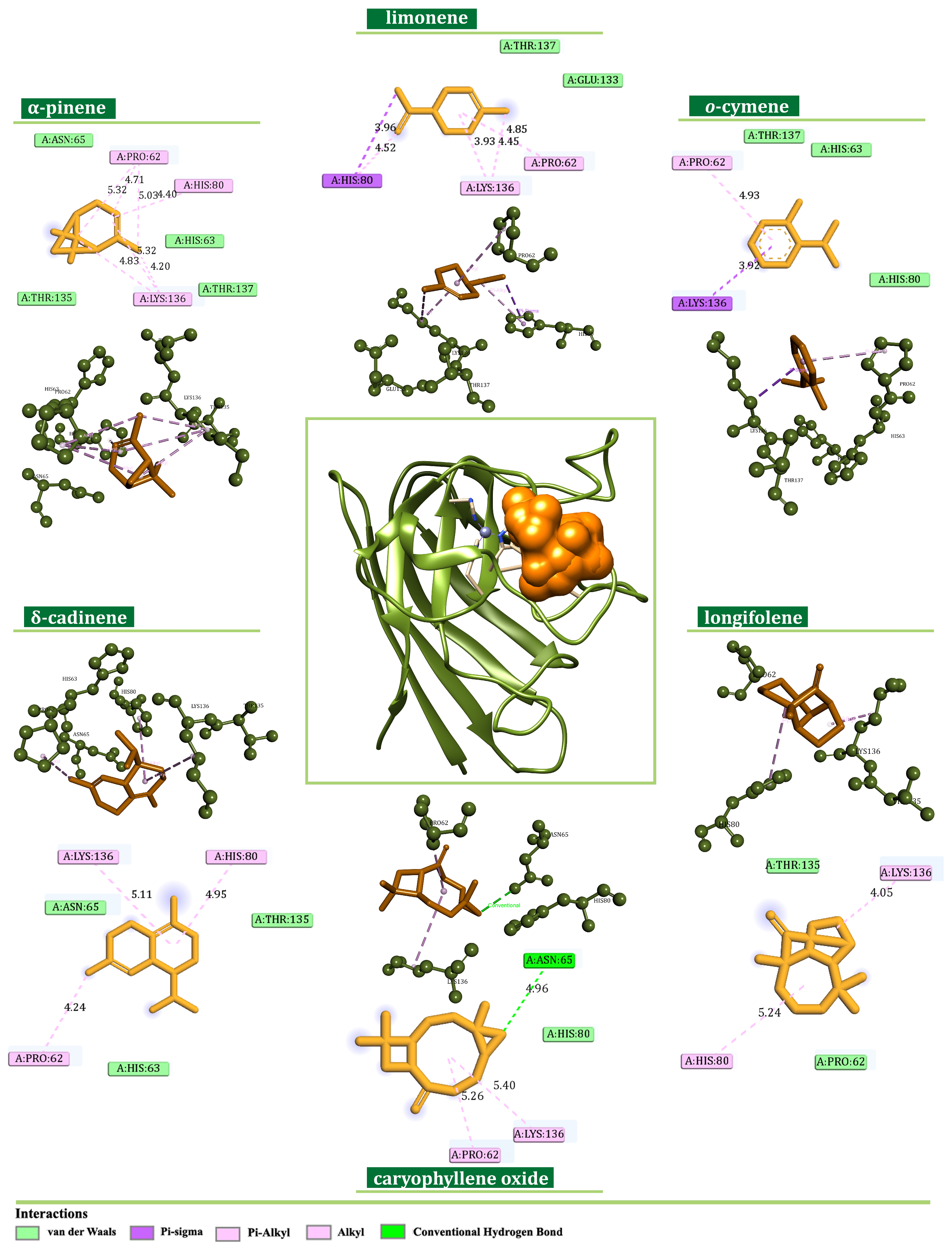 Plants 13 02351 g011