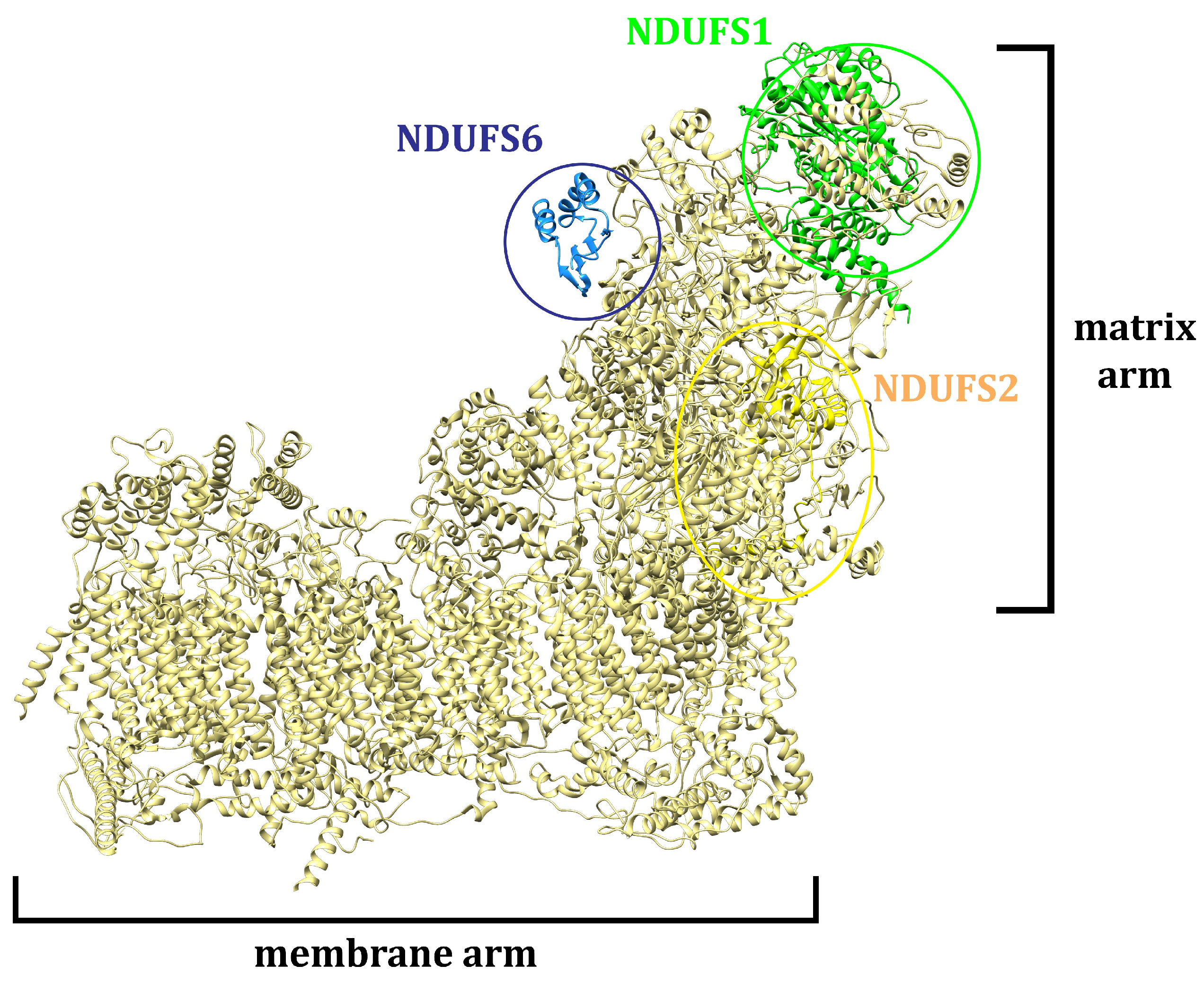 Plants 13 02351 g013