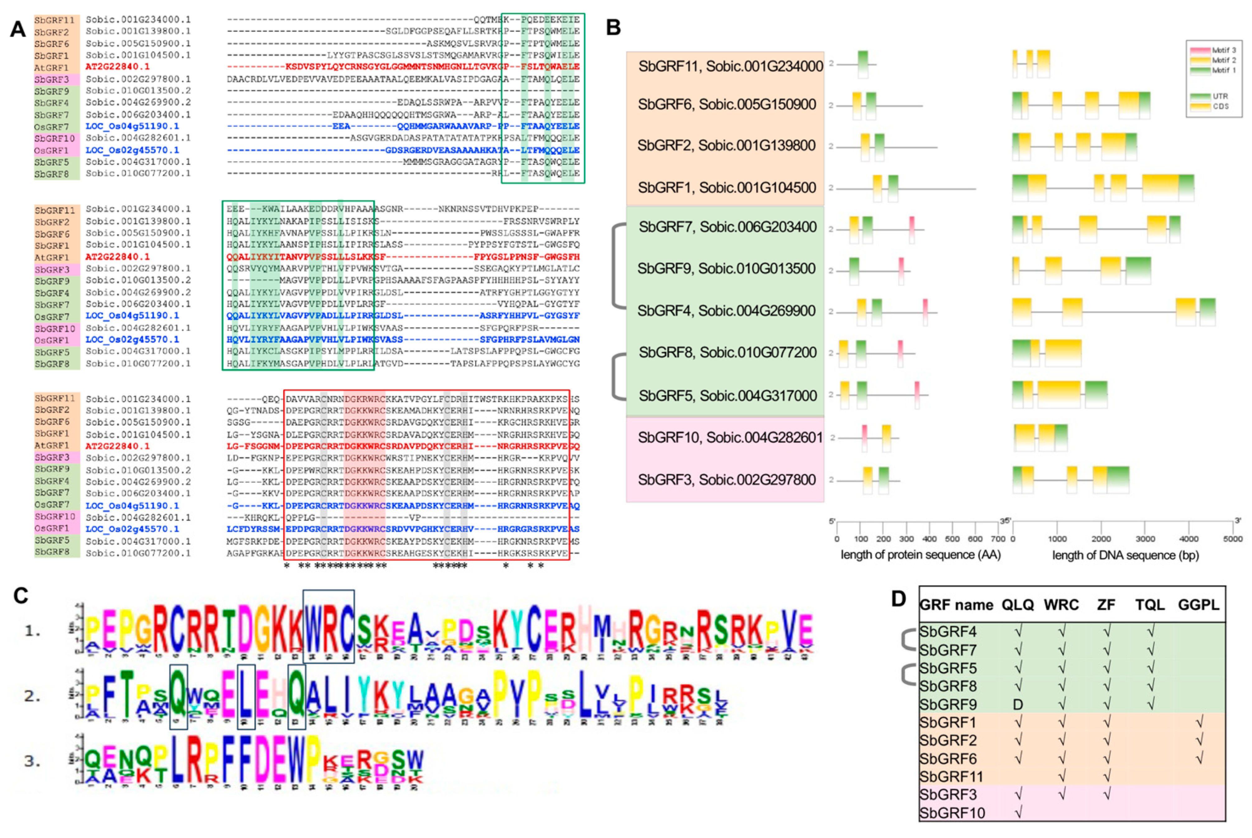 Plants 13 02352 g002
