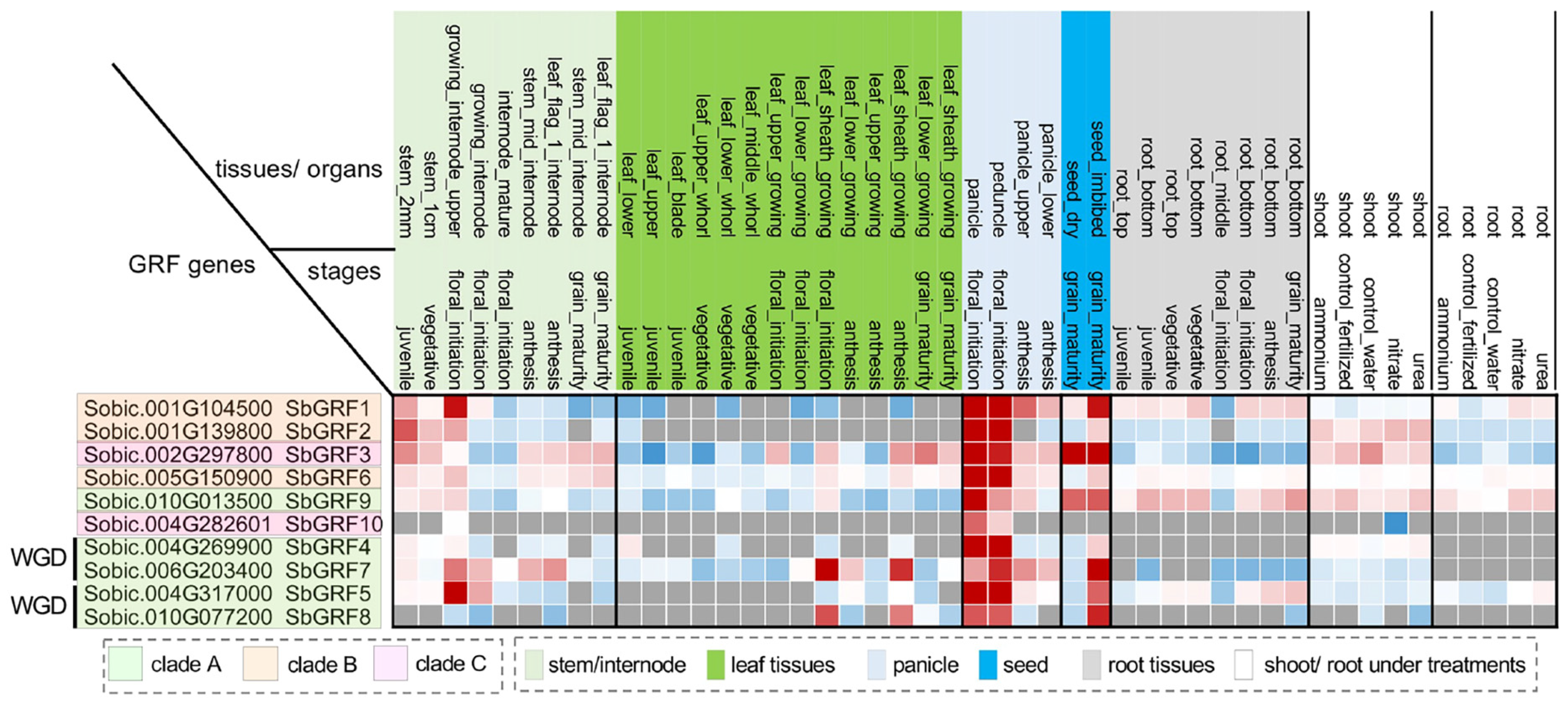 Plants 13 02352 g003