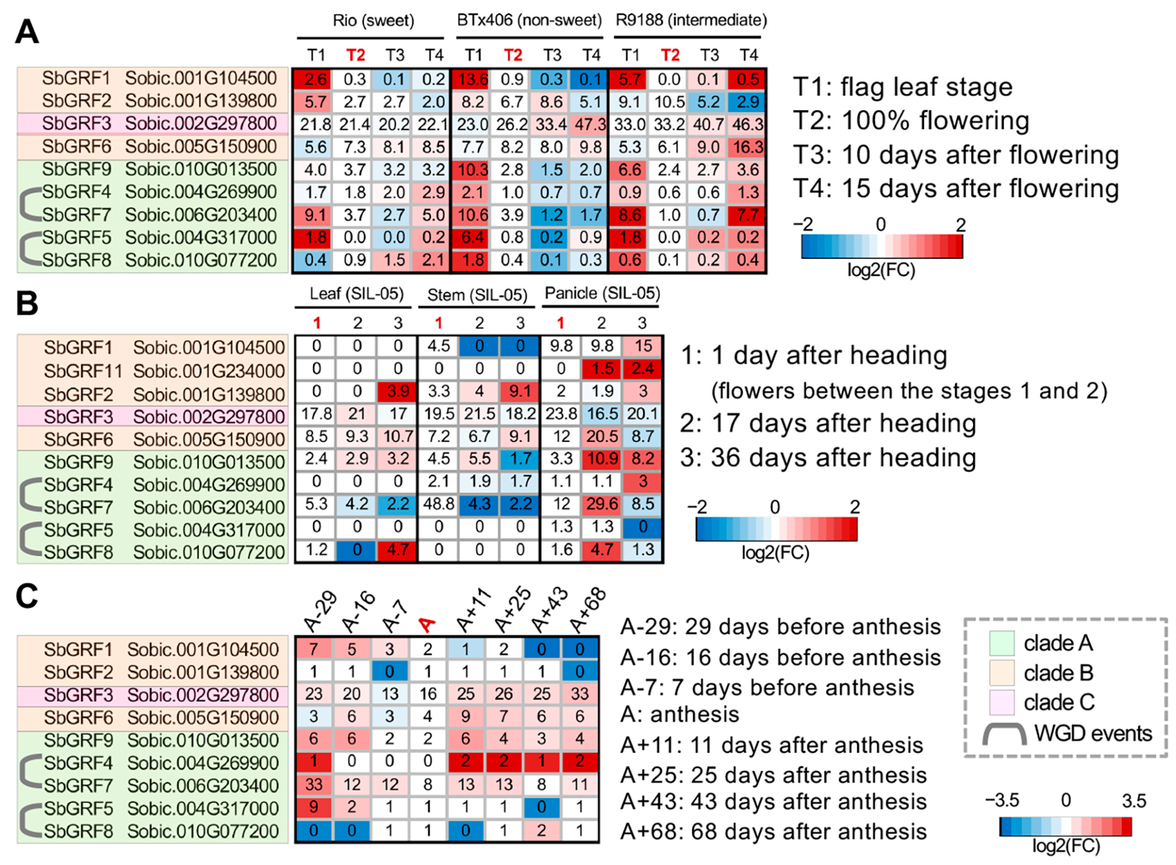 Plants 13 02352 g004