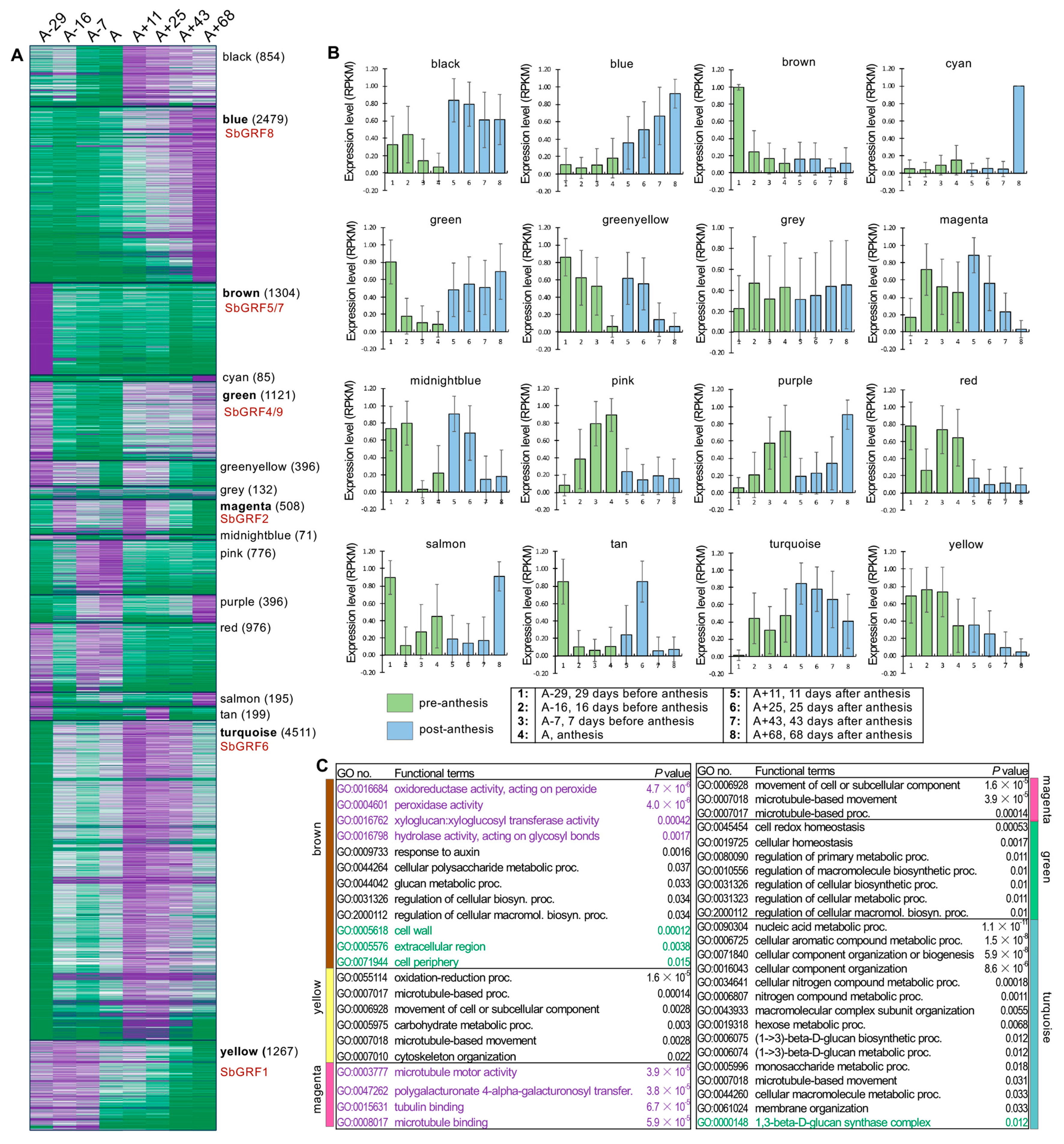Plants 13 02352 g005
