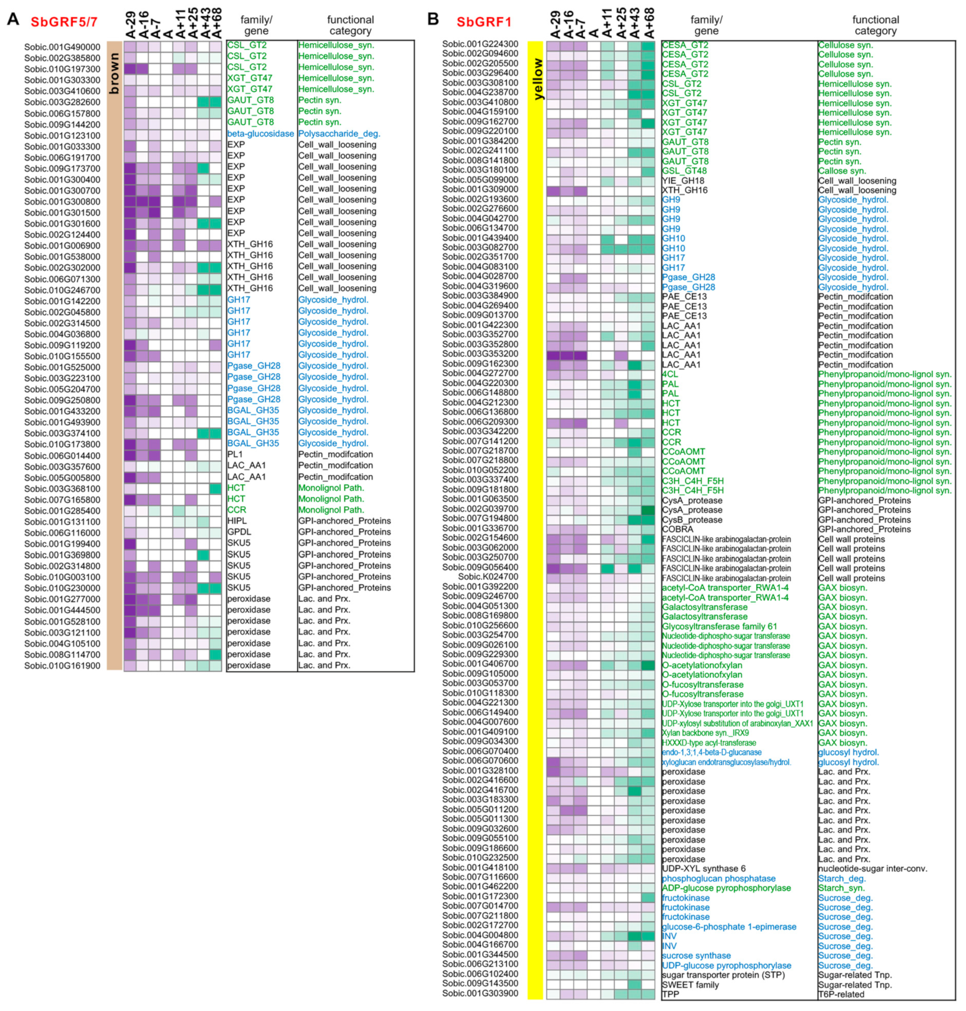 Plants 13 02352 g006