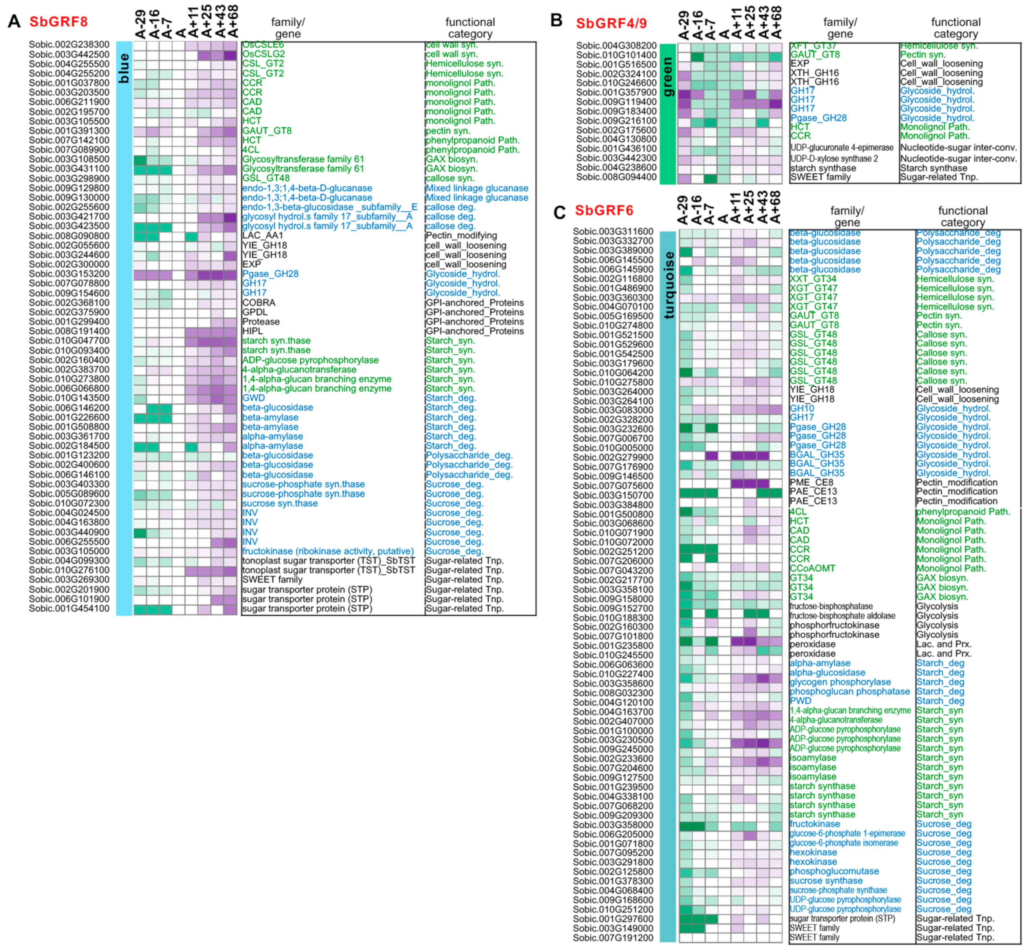 Plants 13 02352 g007