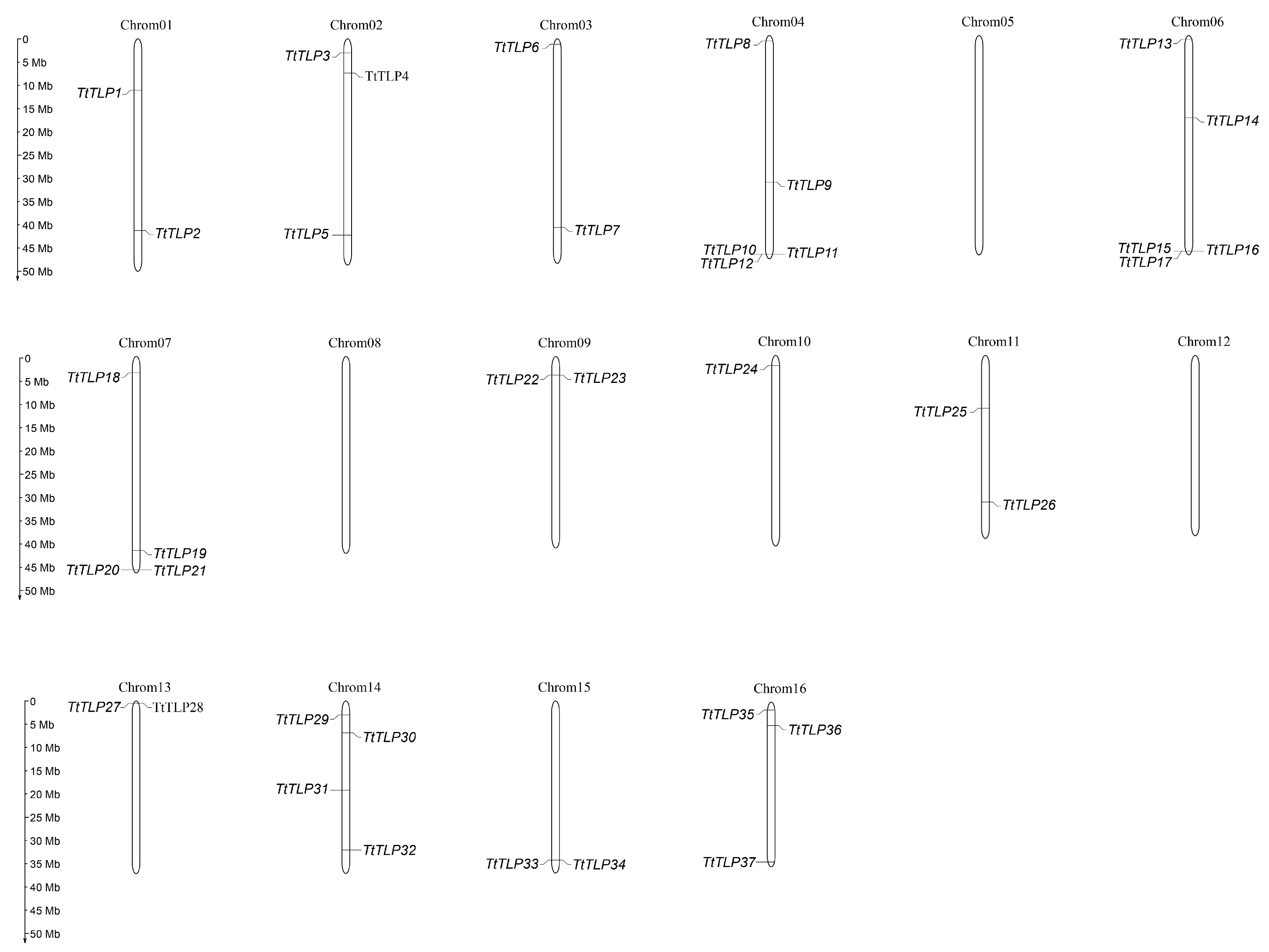 Plants 13 02355 g001