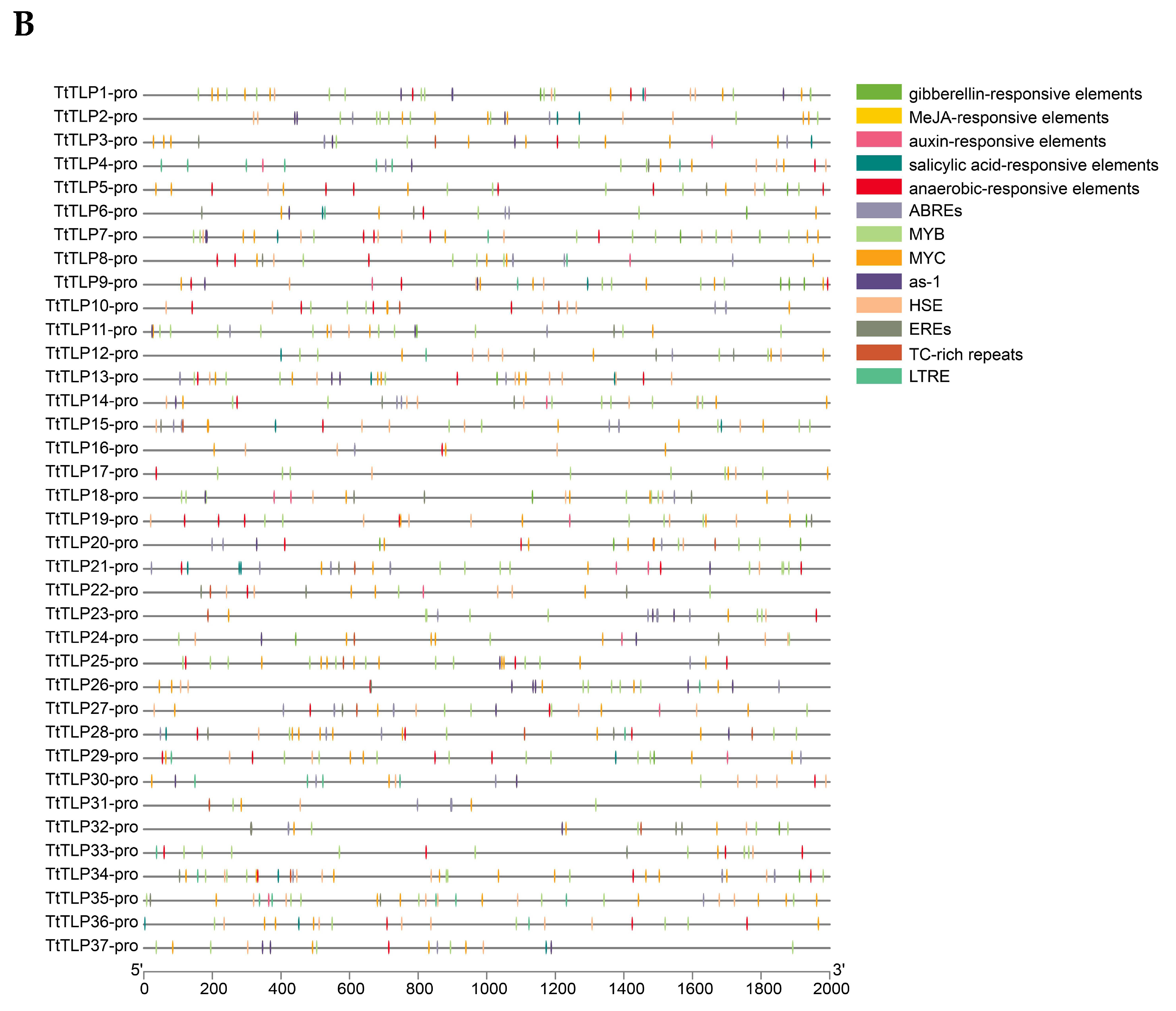Plants 13 02355 g005b