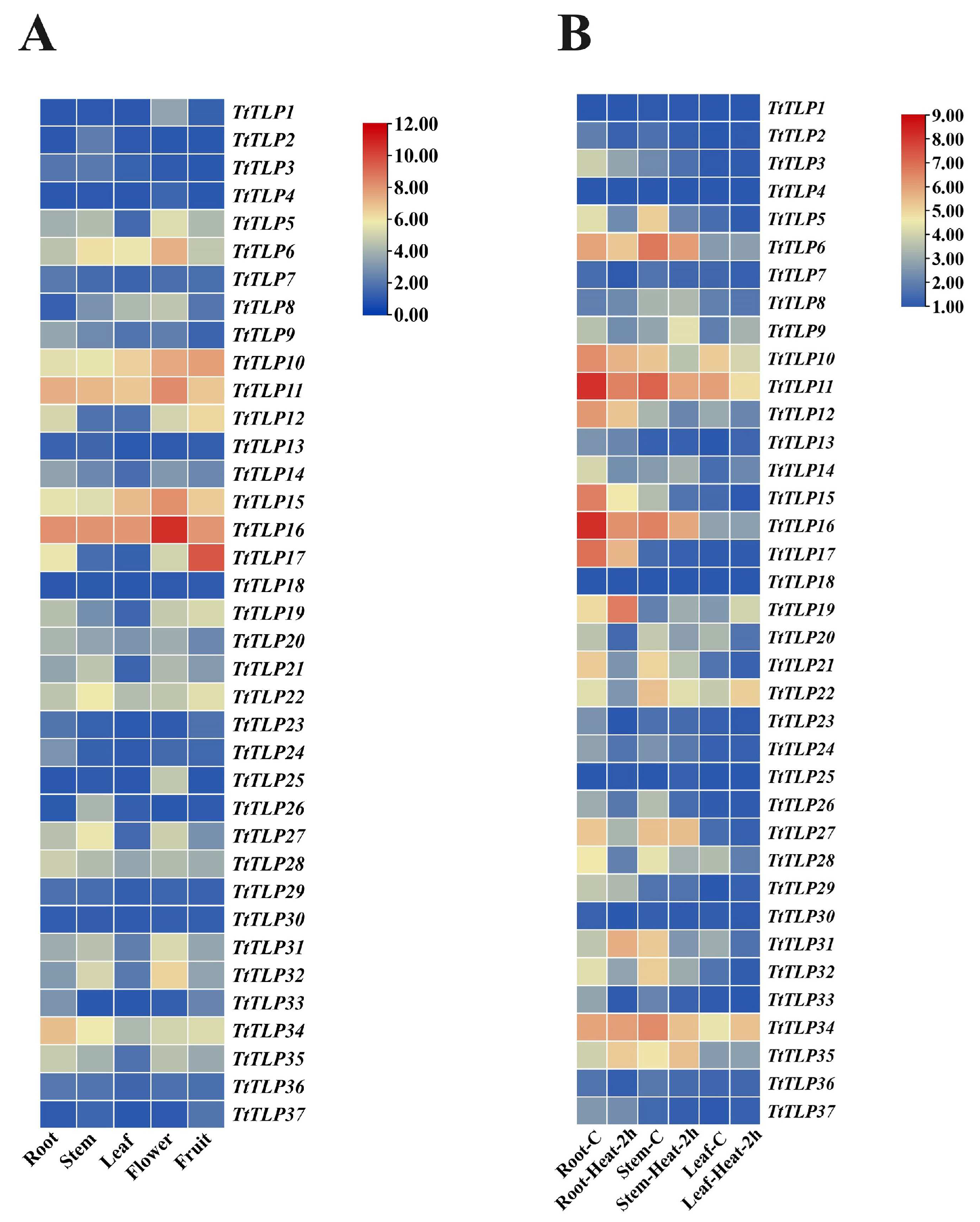 Plants 13 02355 g006