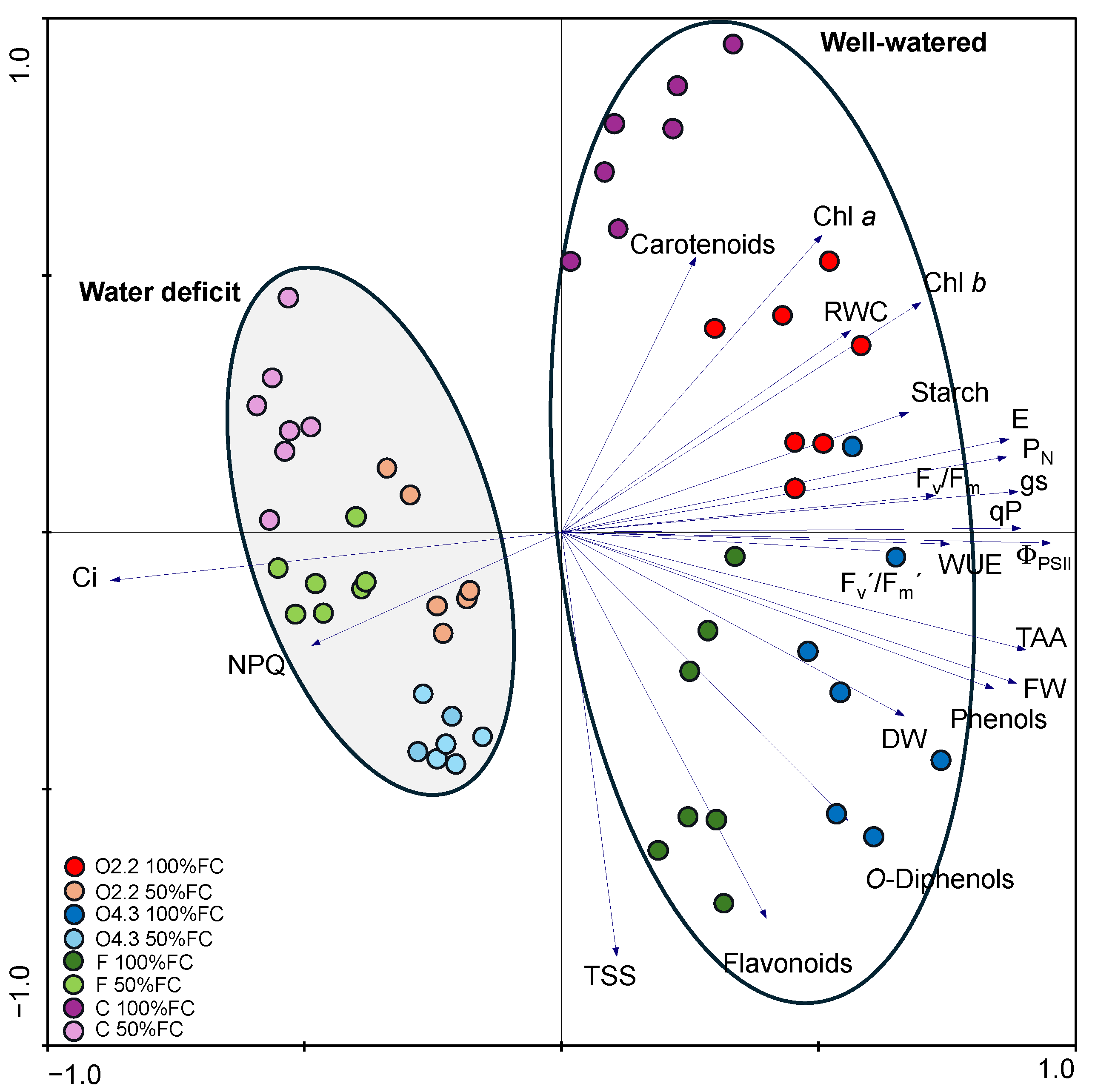 Plants 13 02358 g008