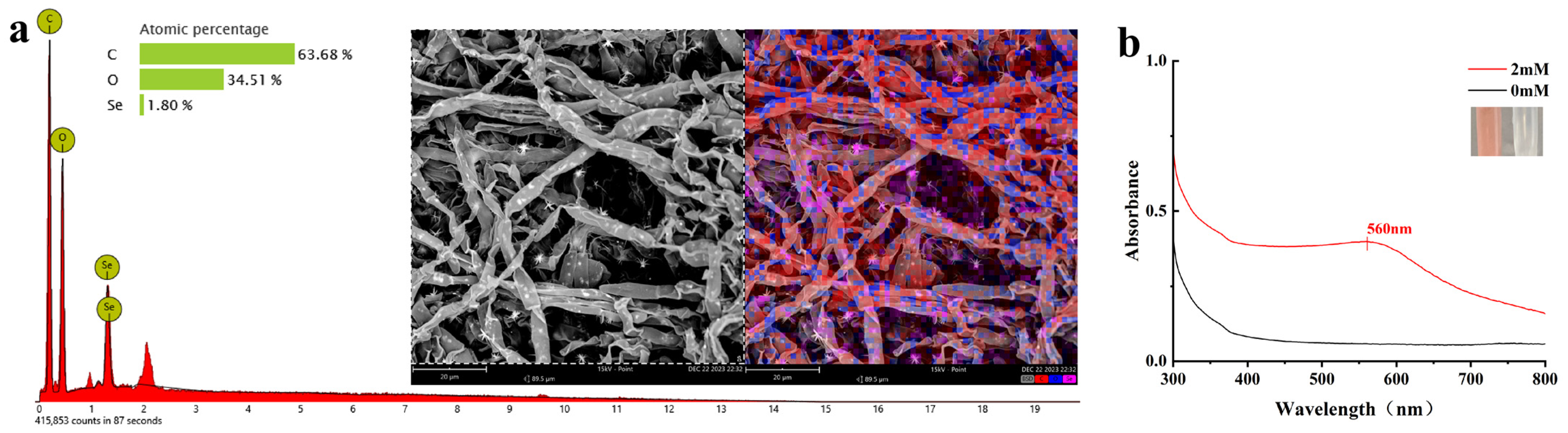 Plants 13 02359 g001