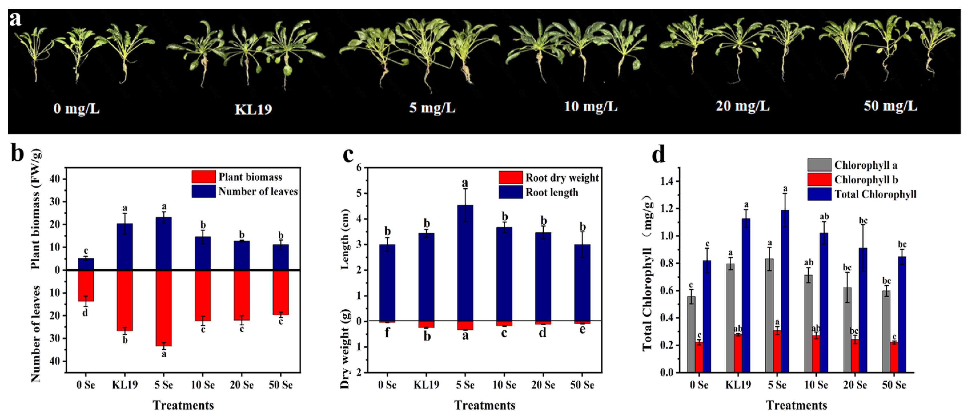 Plants 13 02359 g005