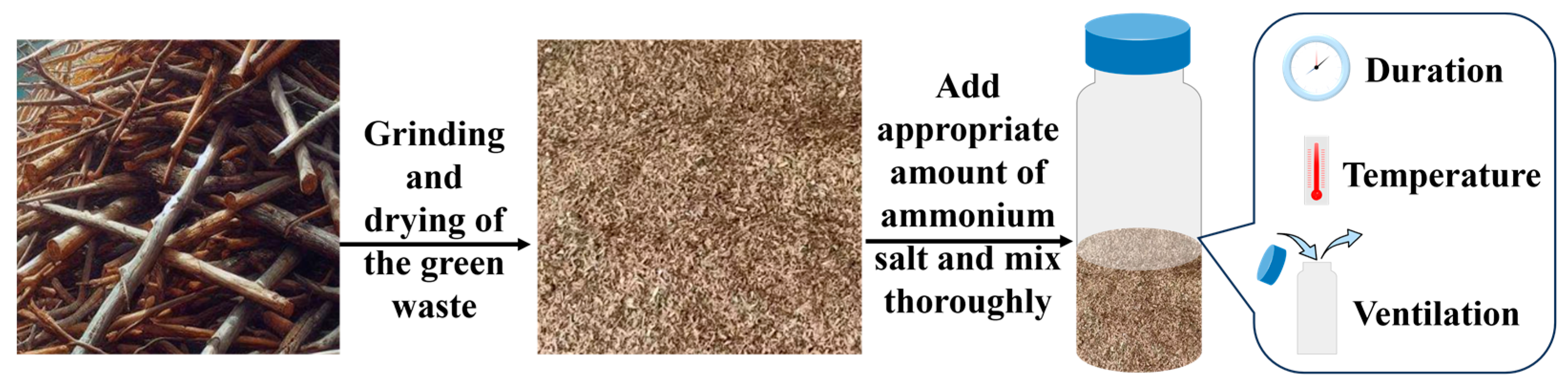 Plants 13 02360 g001