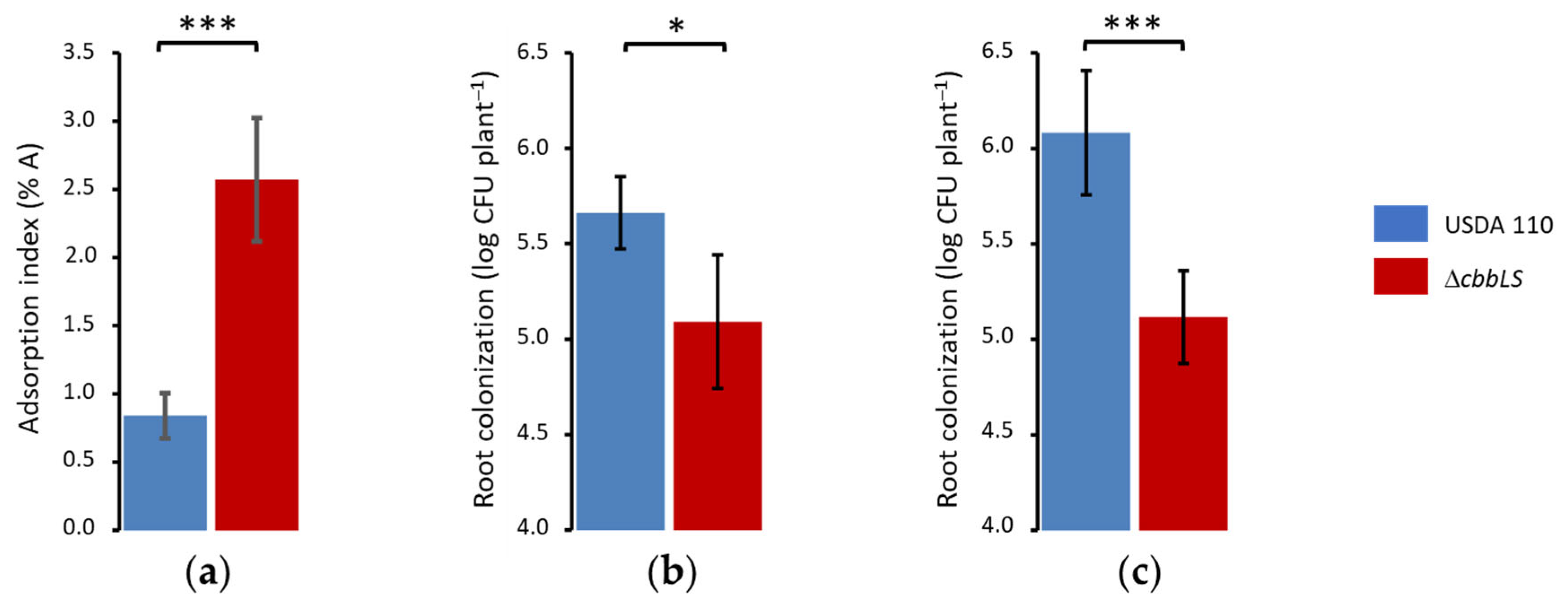Plants 13 02362 g004
