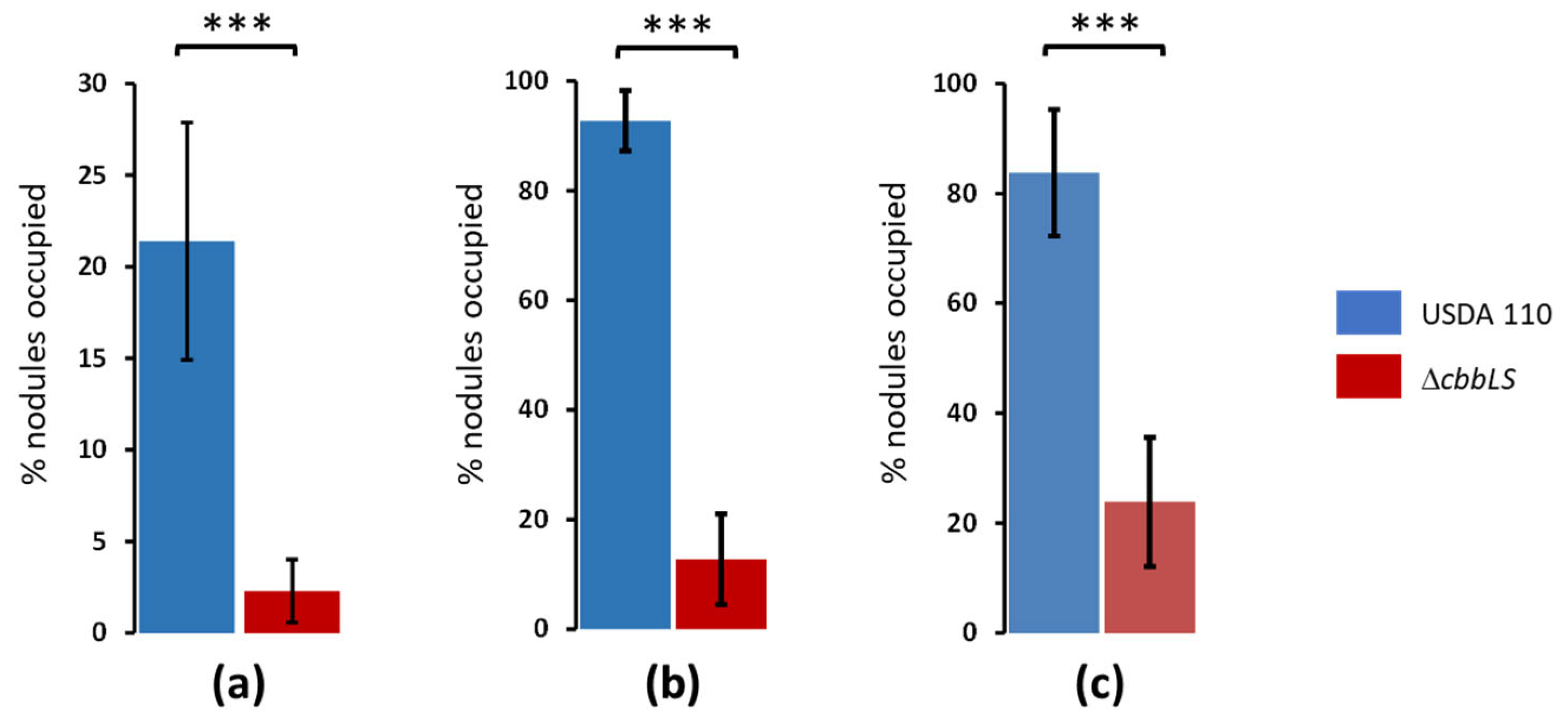 Plants 13 02362 g005