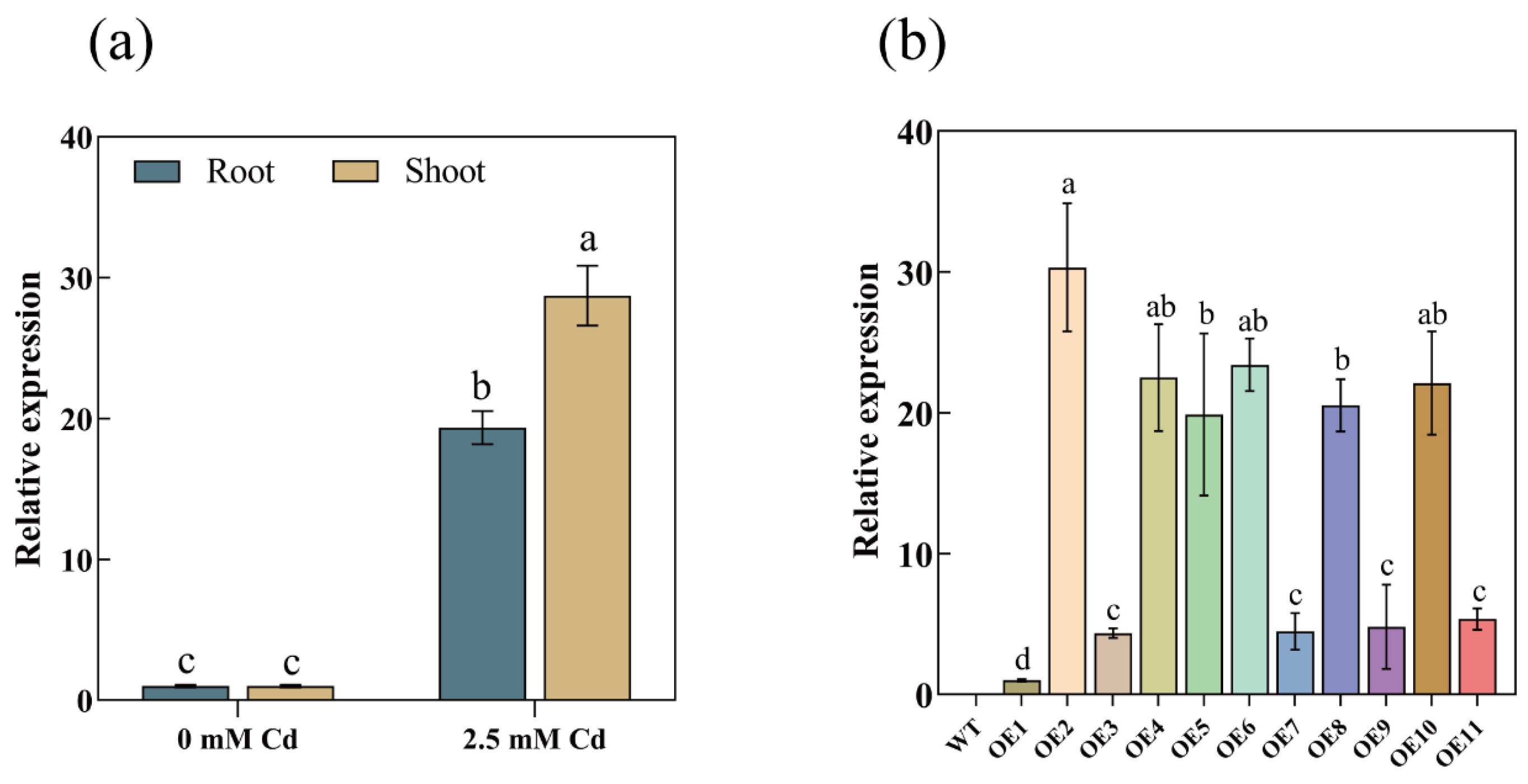 Plants 13 02370 g002