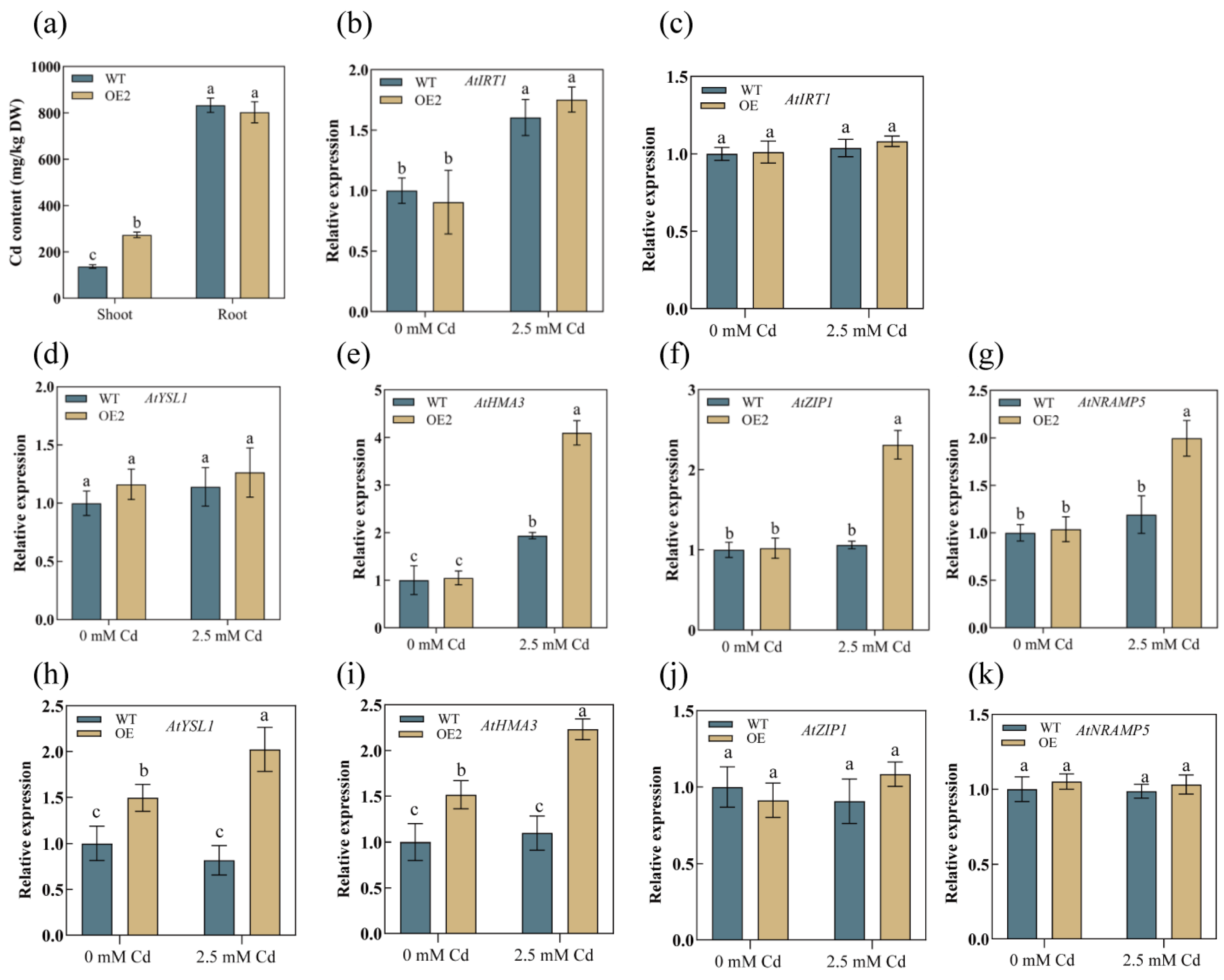 Plants 13 02370 g007