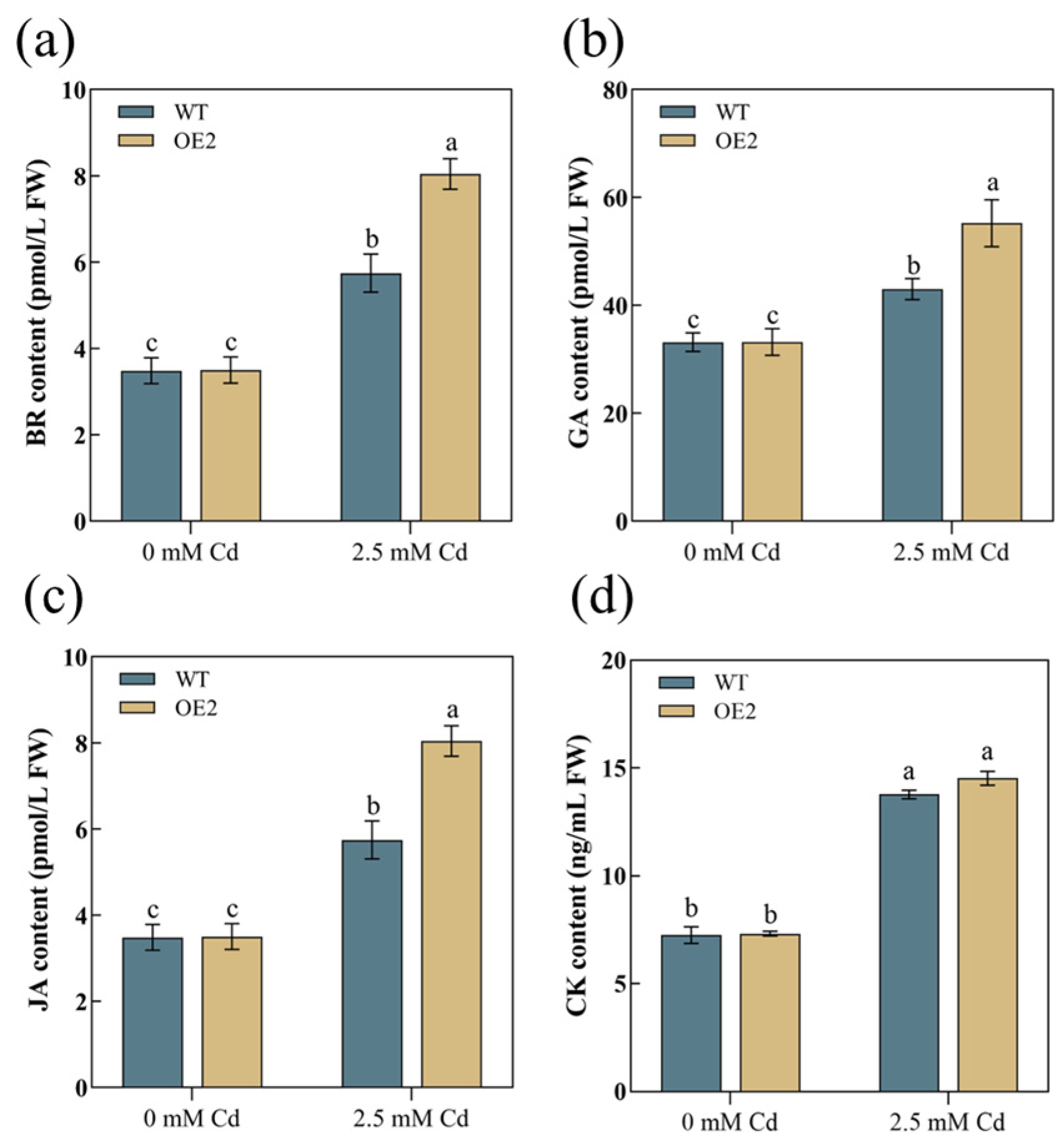 Plants 13 02370 g010